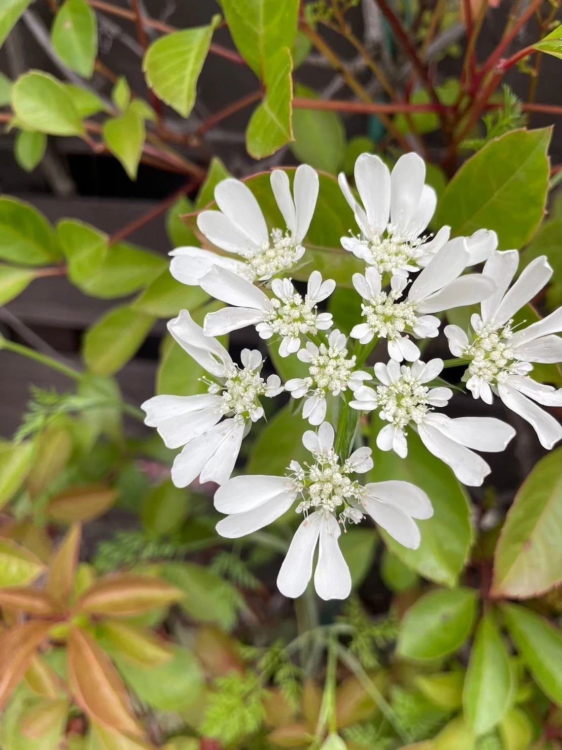 田村ピアノ学校 丸亀教室のメイン画像