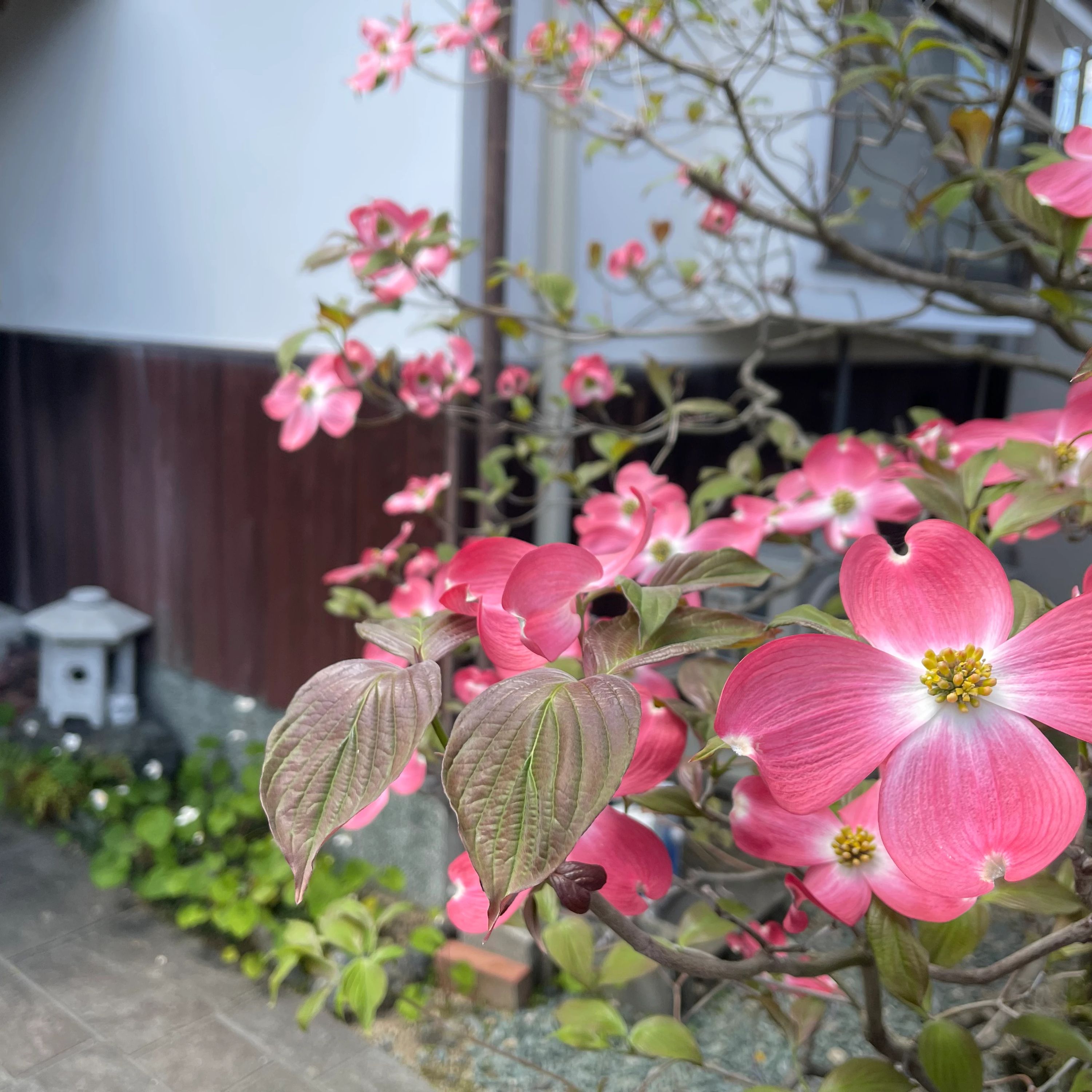 まつひろピアノ教室 松山教室のサムネイル画像 5