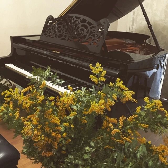 さくらジュンコ ピアノ 別府教室のメイン画像