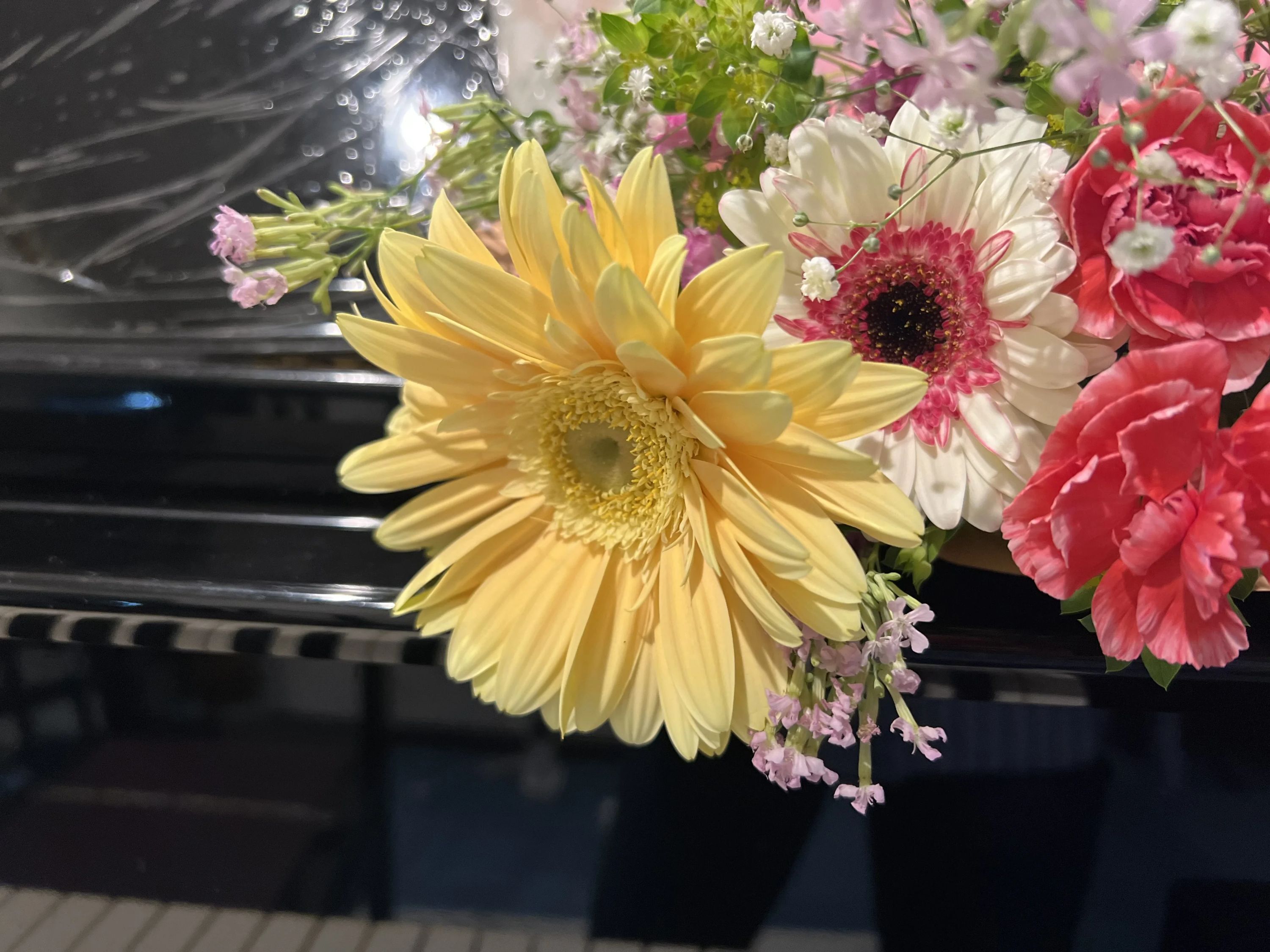 ぴあのカンパネルラ 紅梅教室のサムネイル画像 2