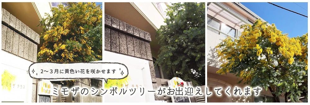 モラザテラス ピアノ 桜坂教室のサムネイル画像 4