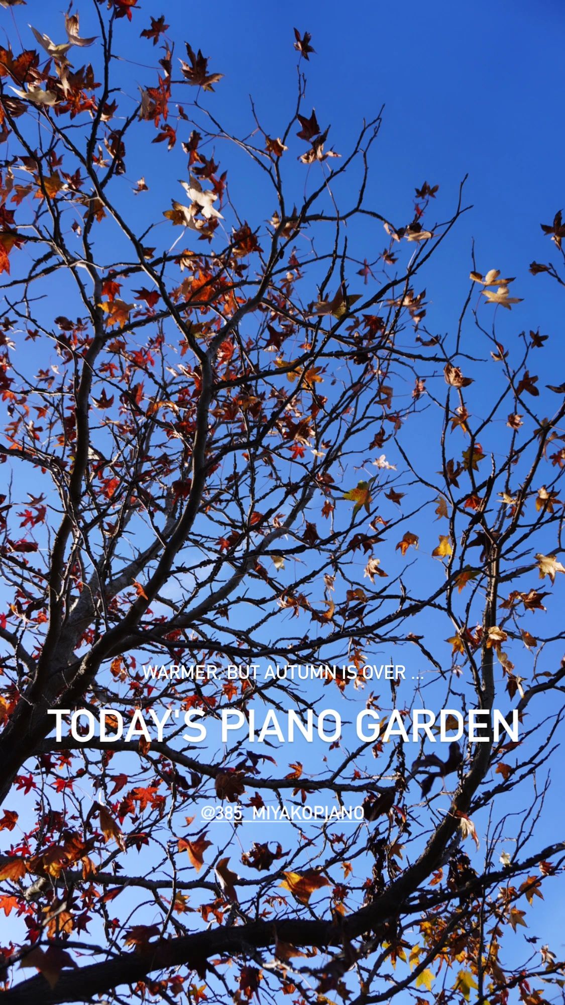 MIYAKO PIANO みやこ町教室のサムネイル画像 3