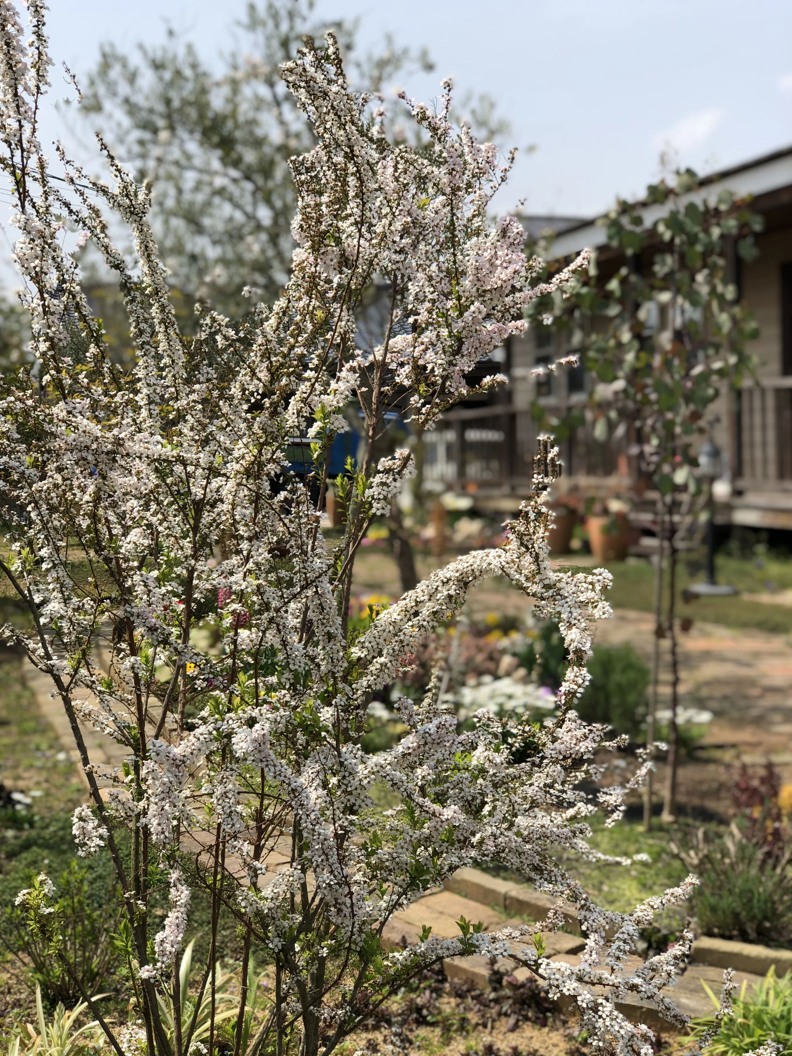 MIYAKO PIANO みやこ町教室のサムネイル画像 5