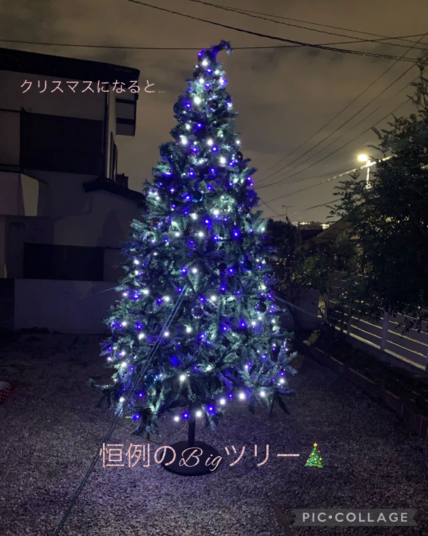 畑島ピアノ教室♪green house music♪ 井川教室のサムネイル画像 2