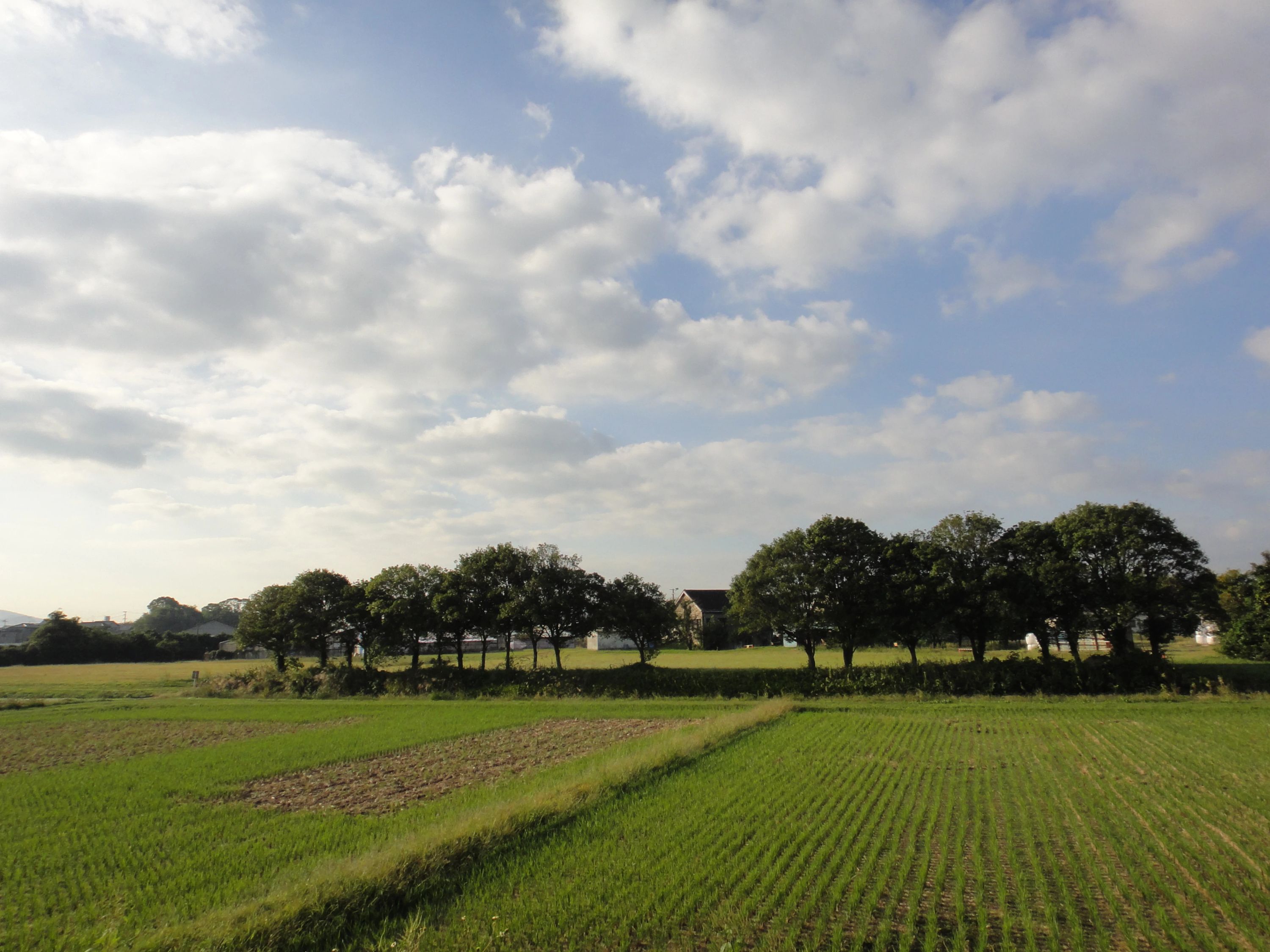 心を育むピアノ教室　わたなべミュージックステーション 粕屋教室のサムネイル画像 4