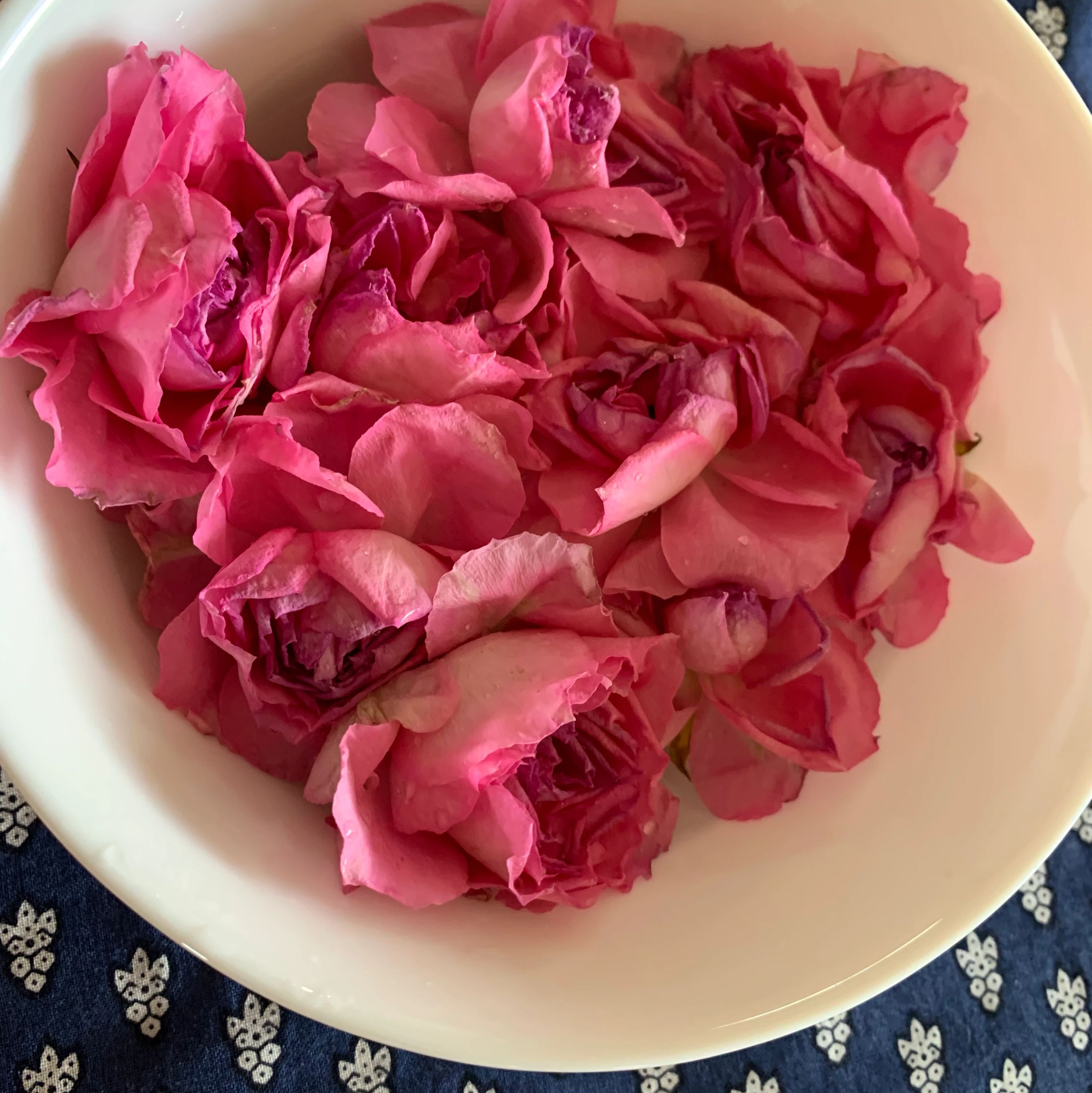 心を育むピアノ教室　わたなべミュージックステーション 粕屋教室のサムネイル画像 5