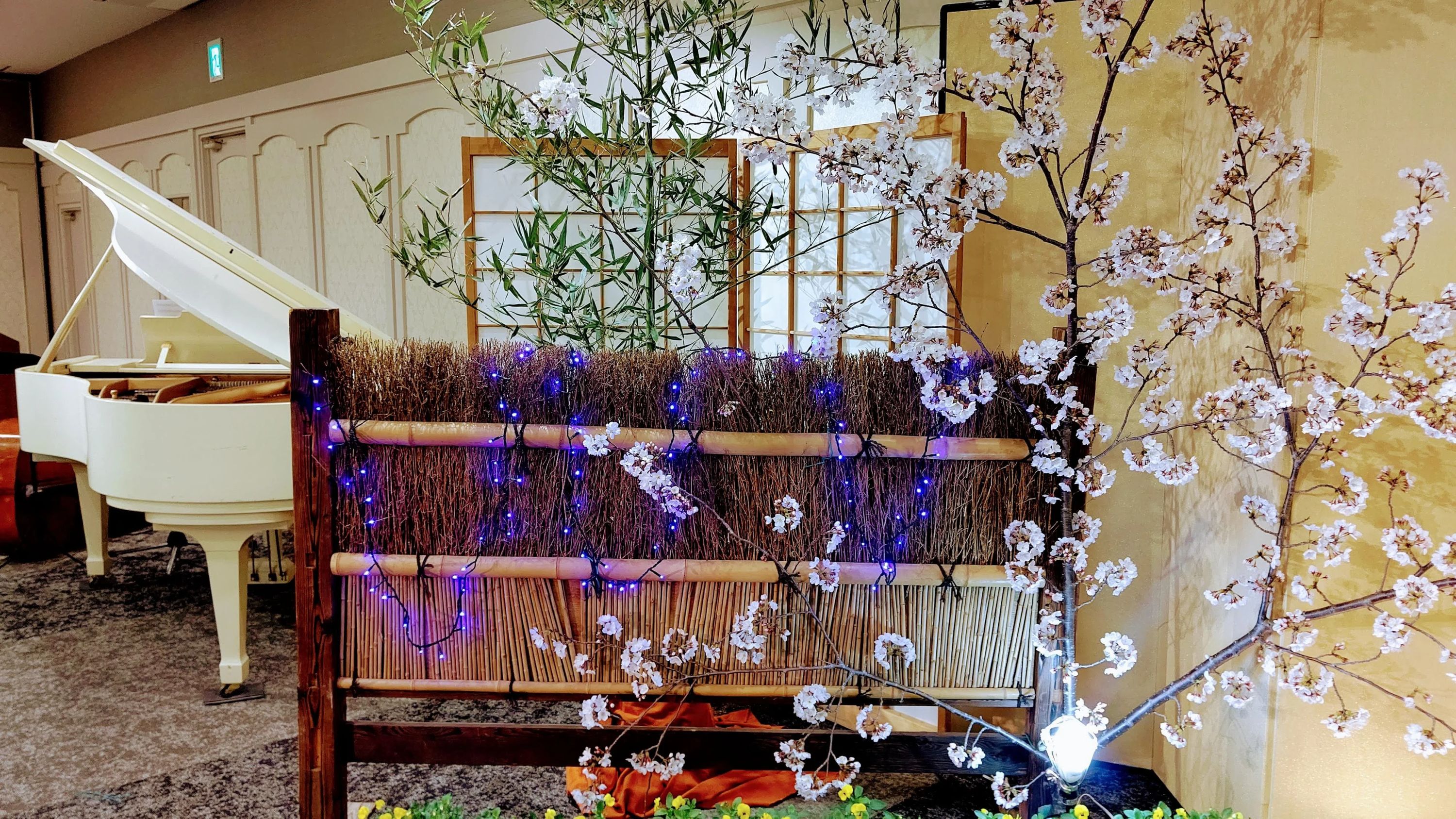 エレガンテピアノ教室 唐人町教室のメイン画像