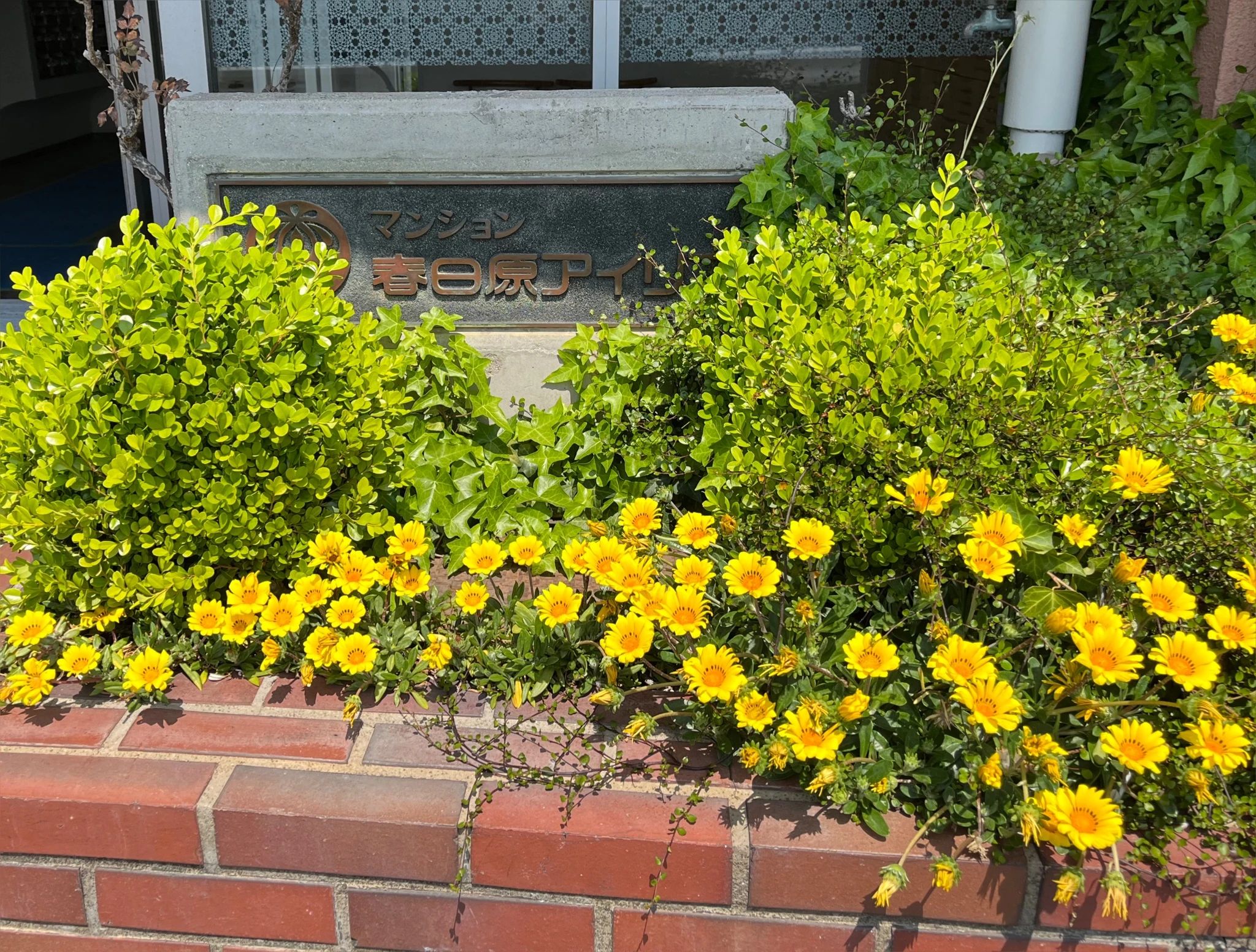 みゅーず音楽教室 ピアノ 春日市教室のサムネイル画像 5