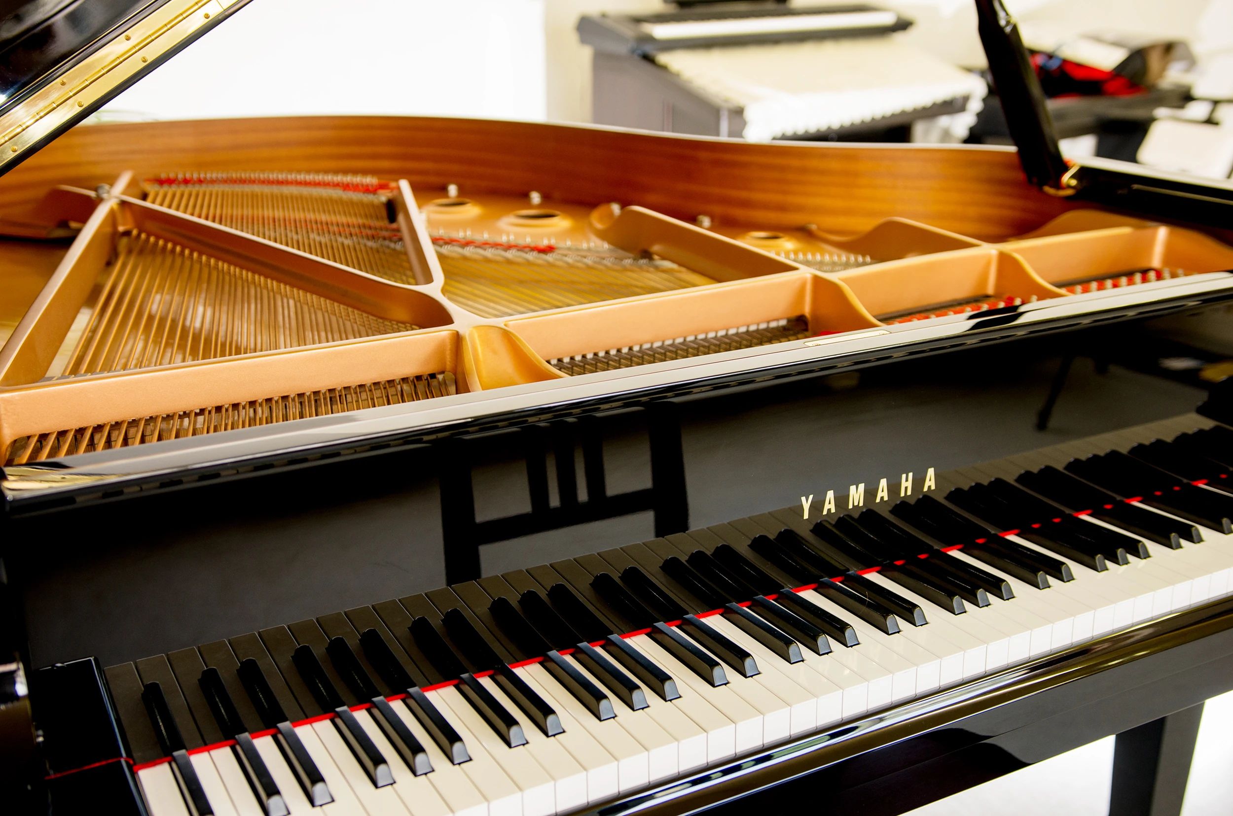 とよなが音楽教室 ピアノ 萩原教室のサムネイル画像 2