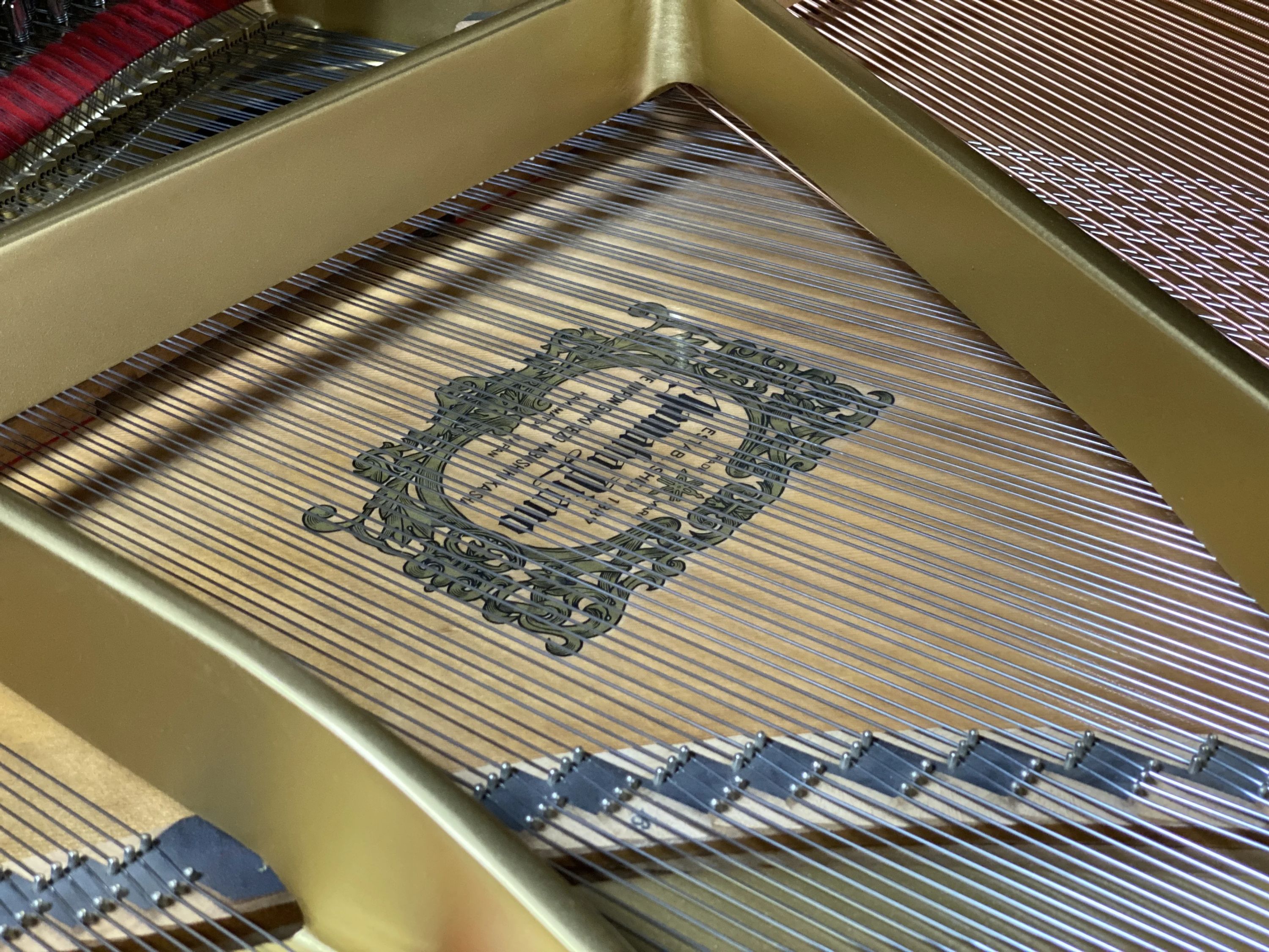 春野音楽教室 ピアノ 北多久町教室のメイン画像