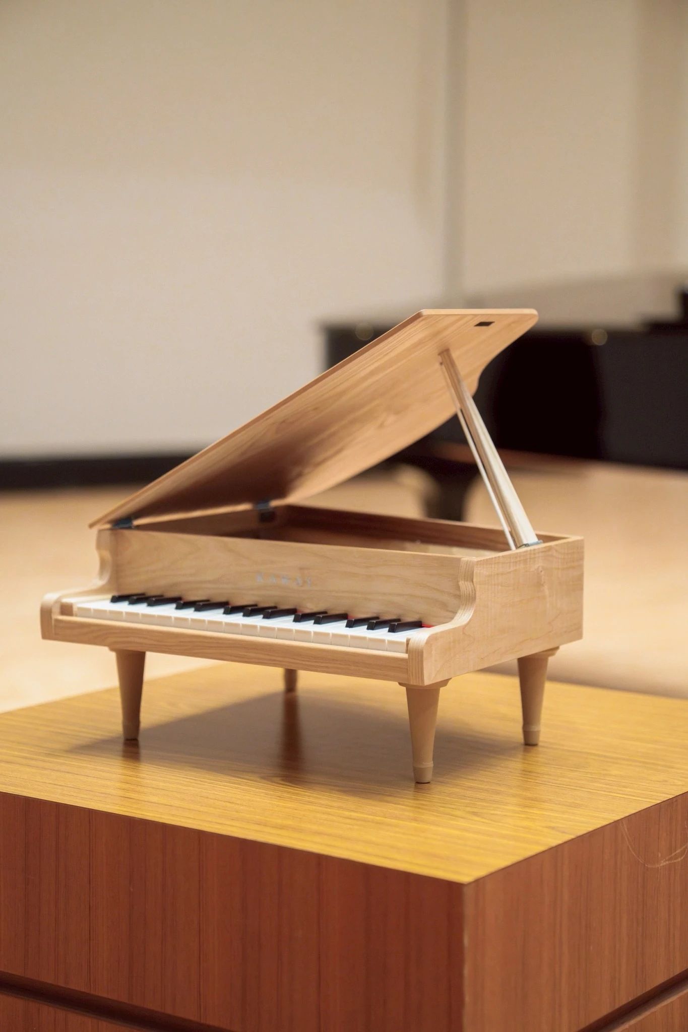 Ohta Piano 戸石町教室のメイン画像