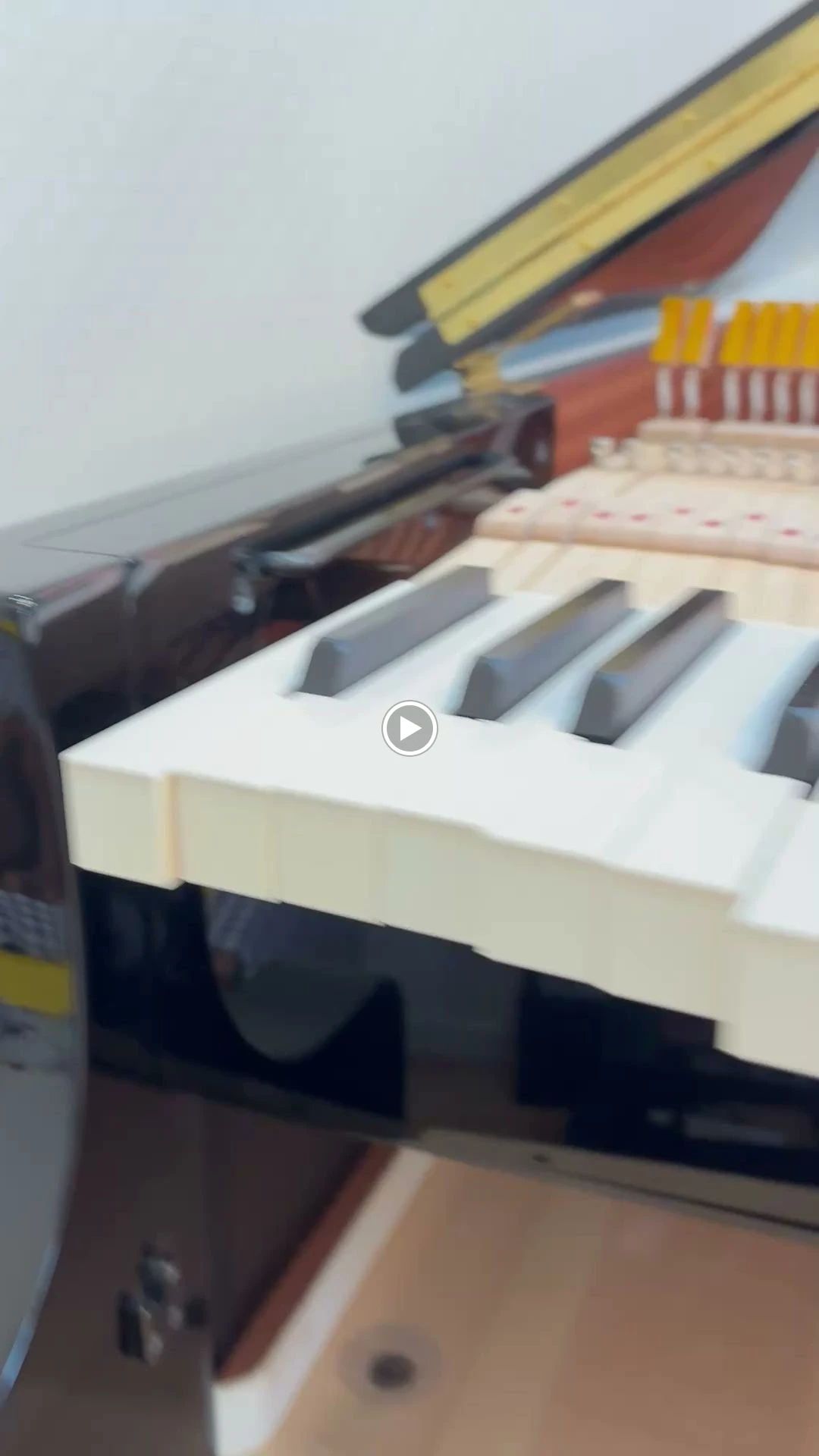 Ohta Piano 戸石町教室のサムネイル画像 5