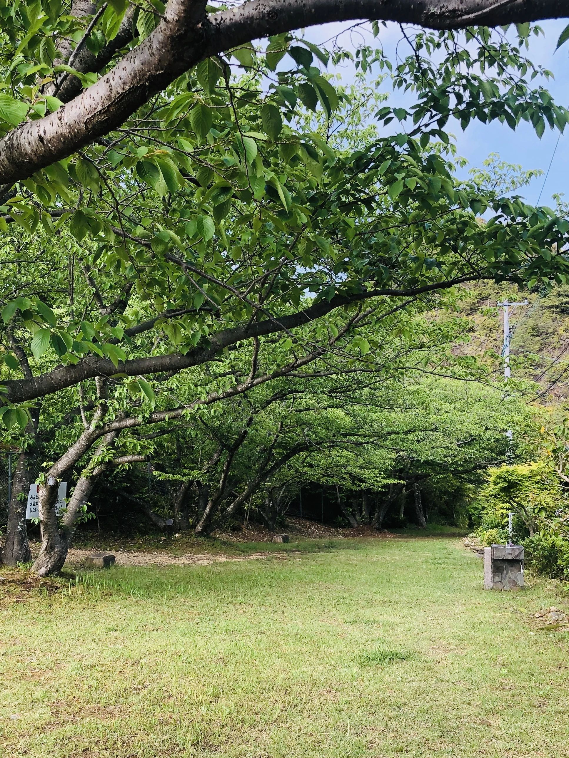 尾上ピアノ教室 長与町教室のサムネイル画像 4