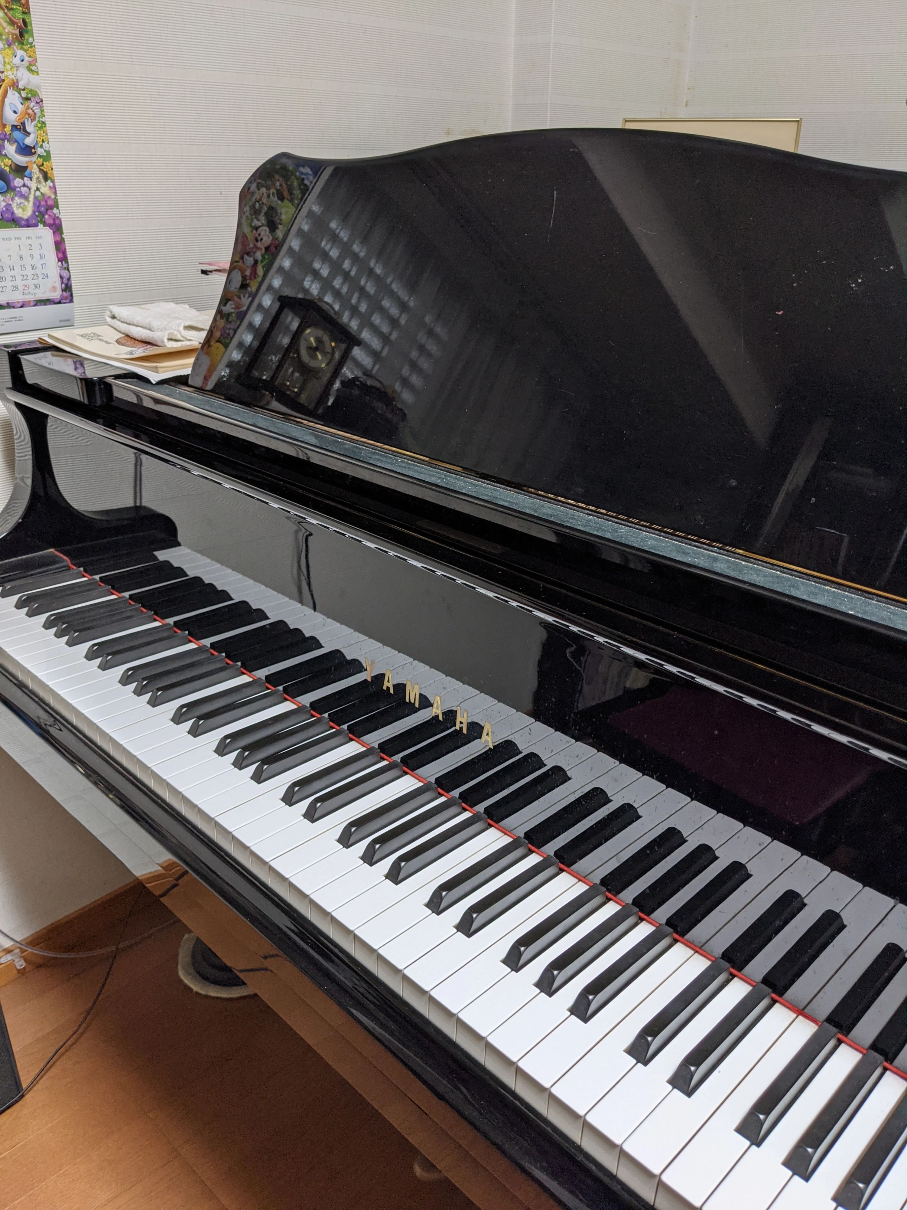 ピアノパステルアートスタジオ 中園教室のサムネイル画像 3