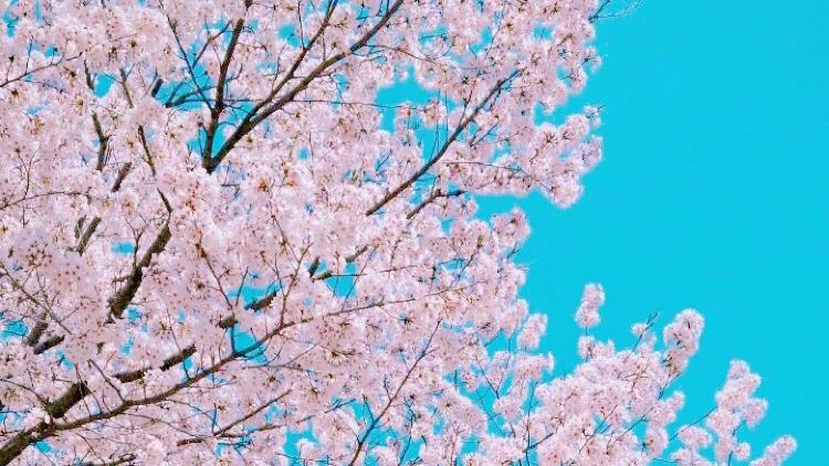 健軍参道ピアノ教室 健軍教室のサムネイル画像 3