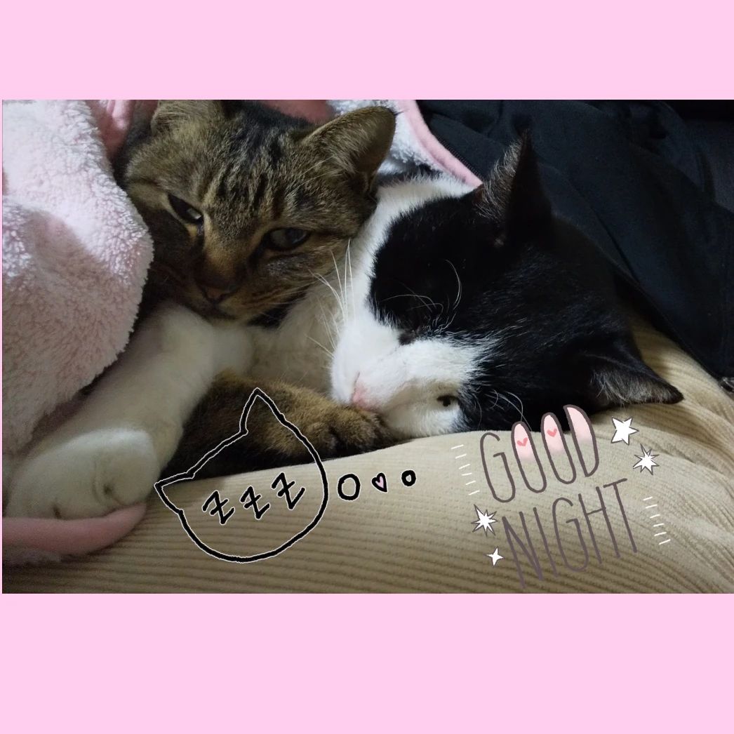 いけもとピアノ音楽教室 長洲教室のサムネイル画像 3