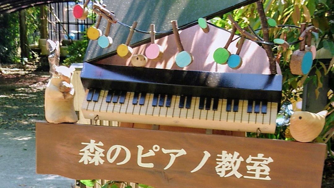 森のピアノ教室 黒髪教室のメイン画像