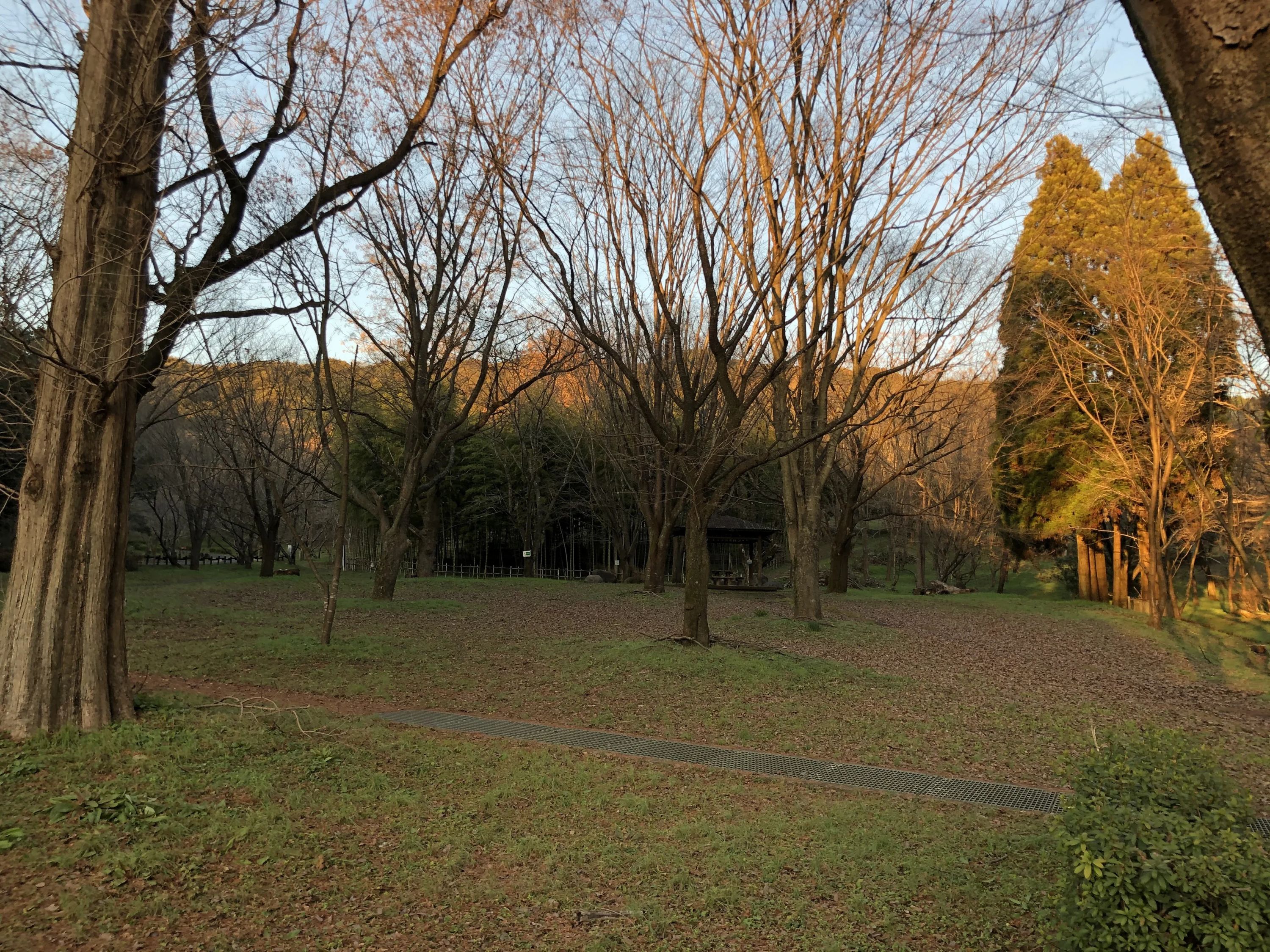 森のピアノ教室 黒髪教室のサムネイル画像 2