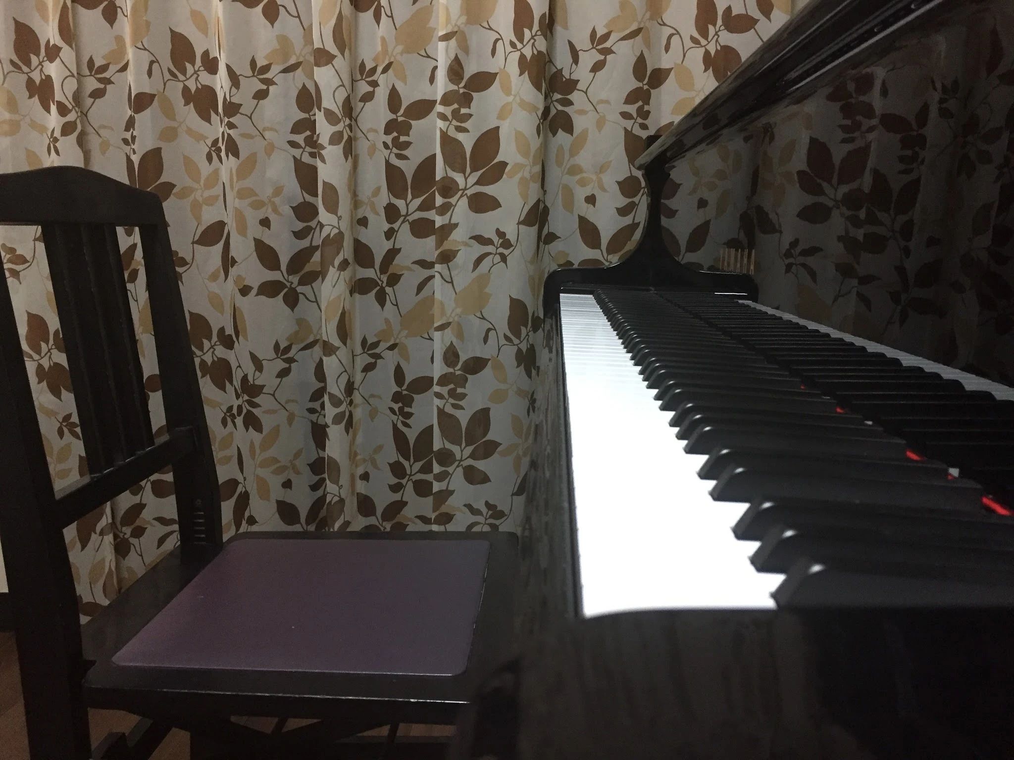 星空ピアノ教室 南桃原教室のメイン画像