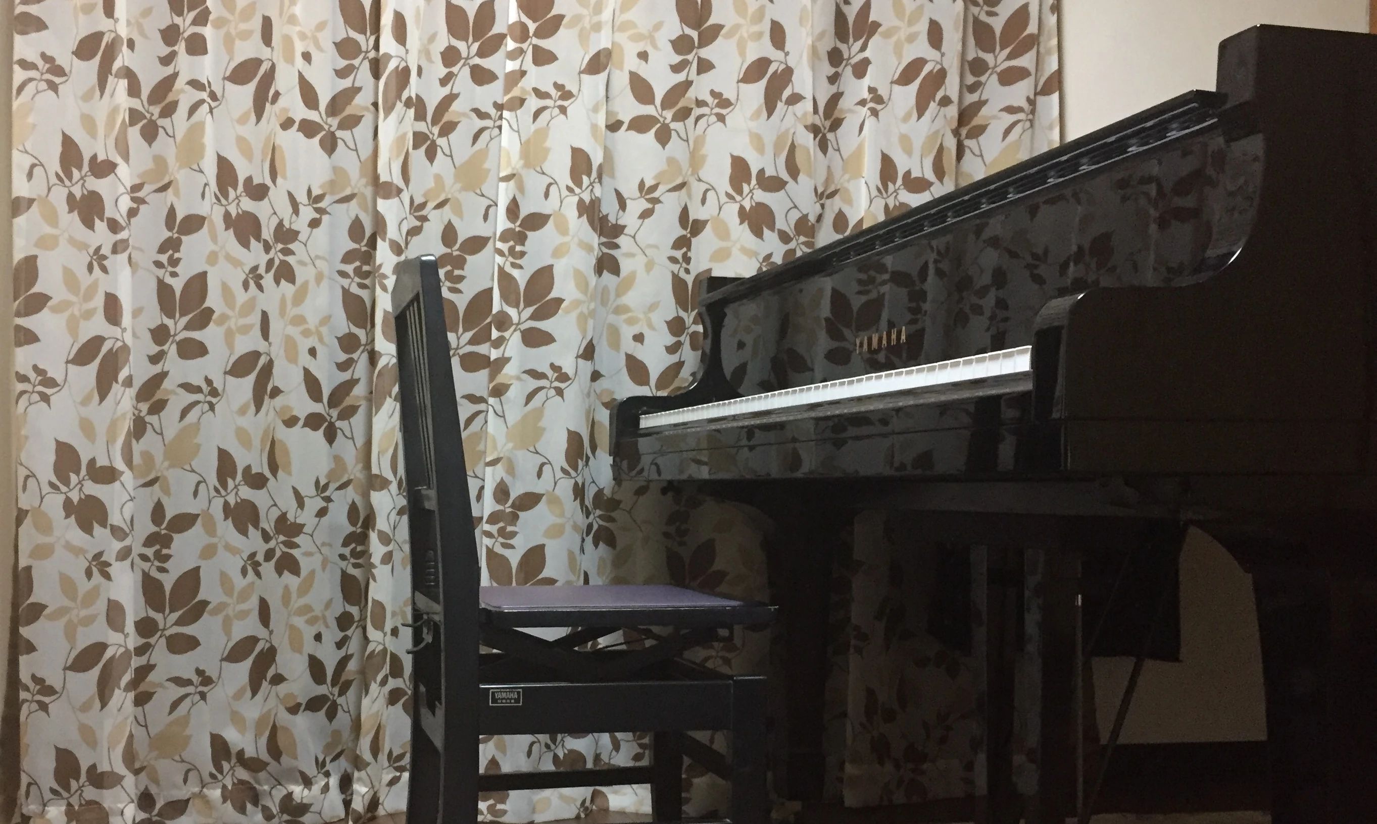 星空ピアノ教室 南桃原教室のサムネイル画像 2