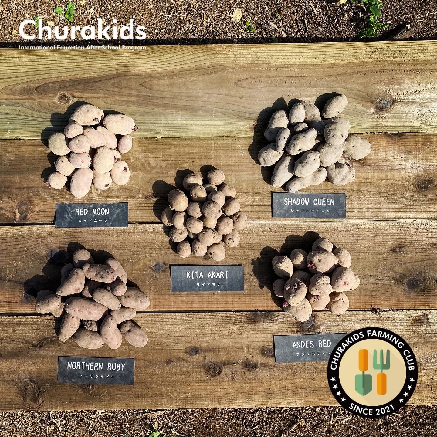 CHURAKIDS　PIANO　CLASS 海邦教室のメイン画像