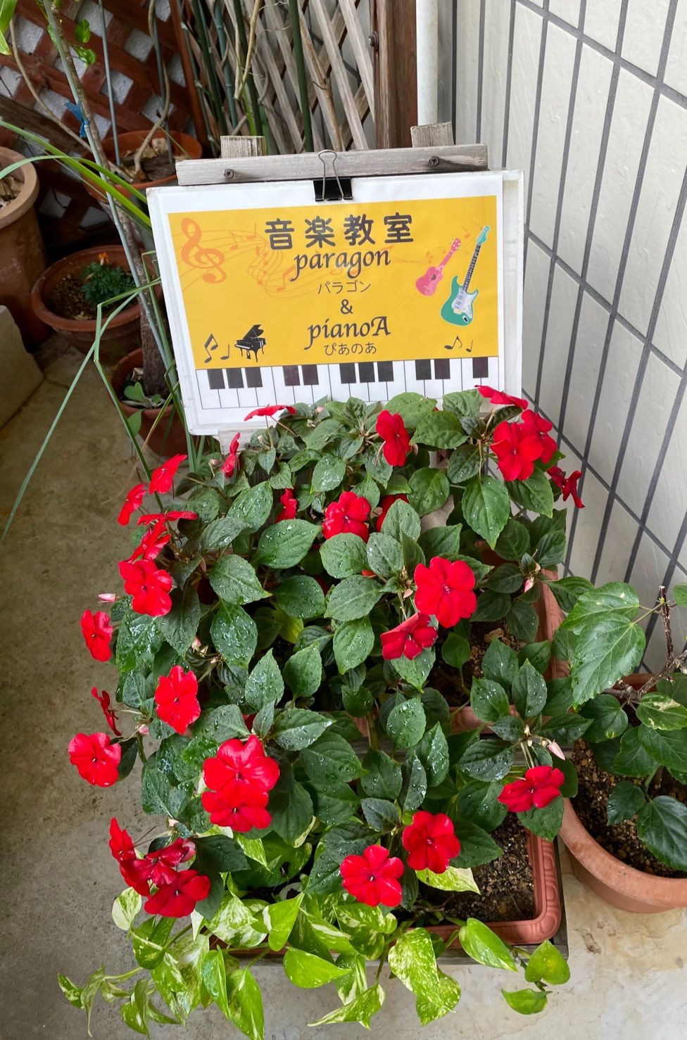 音楽教室paragon&pianoA 真地教室のメイン画像