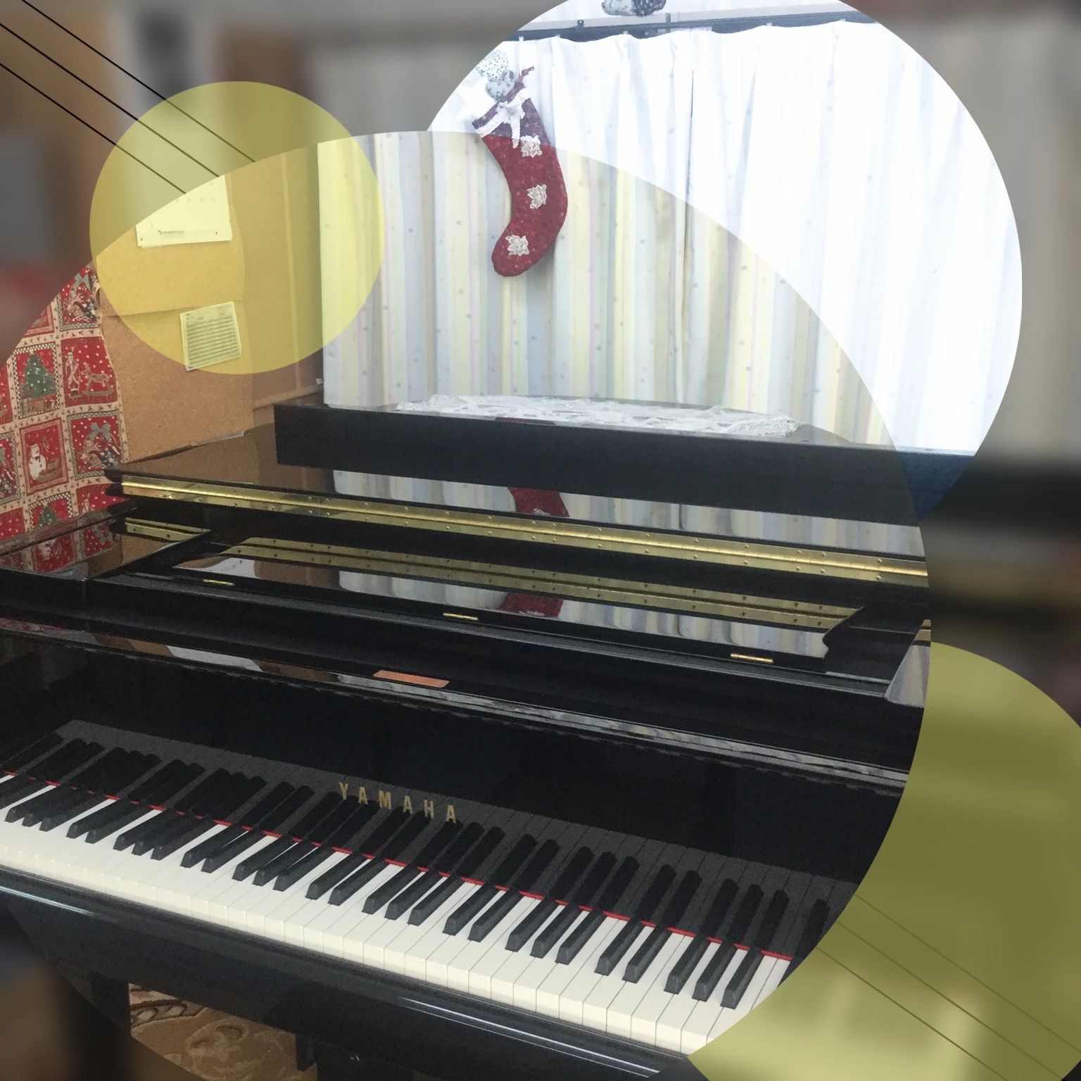 音楽教室paragon&pianoA 真地教室のサムネイル画像 3