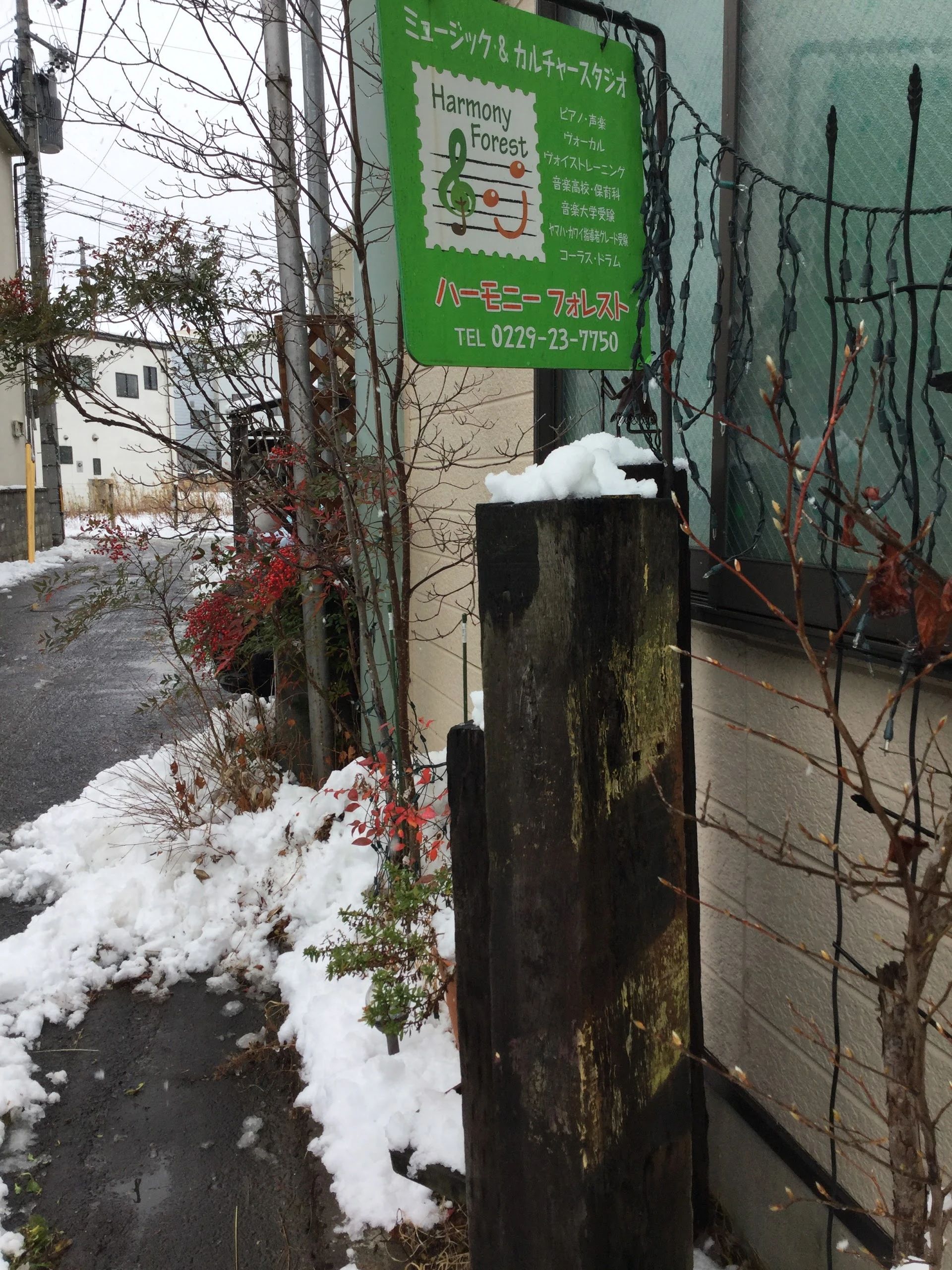 ハーモニーフォレスト ボーカル・ボイストレーニング 古川台町教室のメイン画像