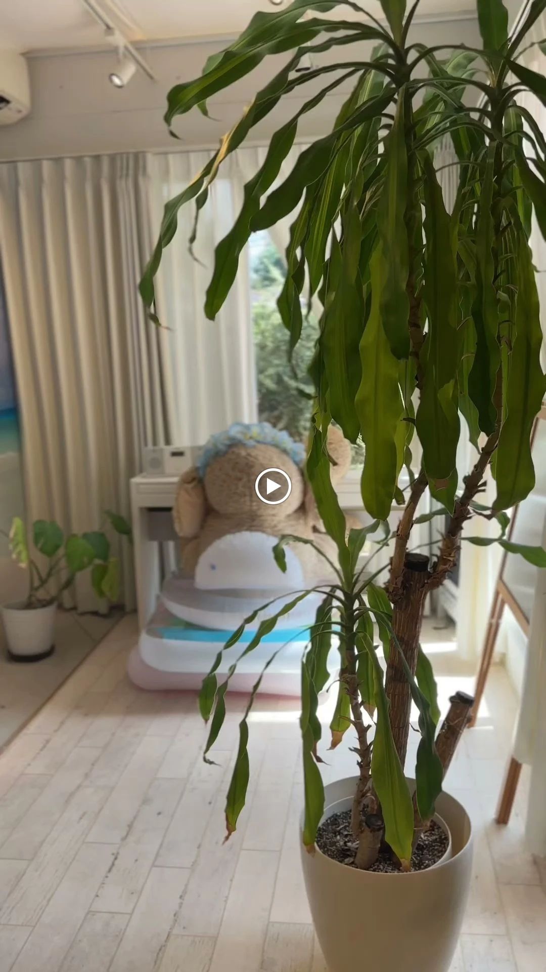 TOKYO BEACH STUDIO ボーカル・ボイストレーニング 三軒茶屋 本店のサムネイル画像 3