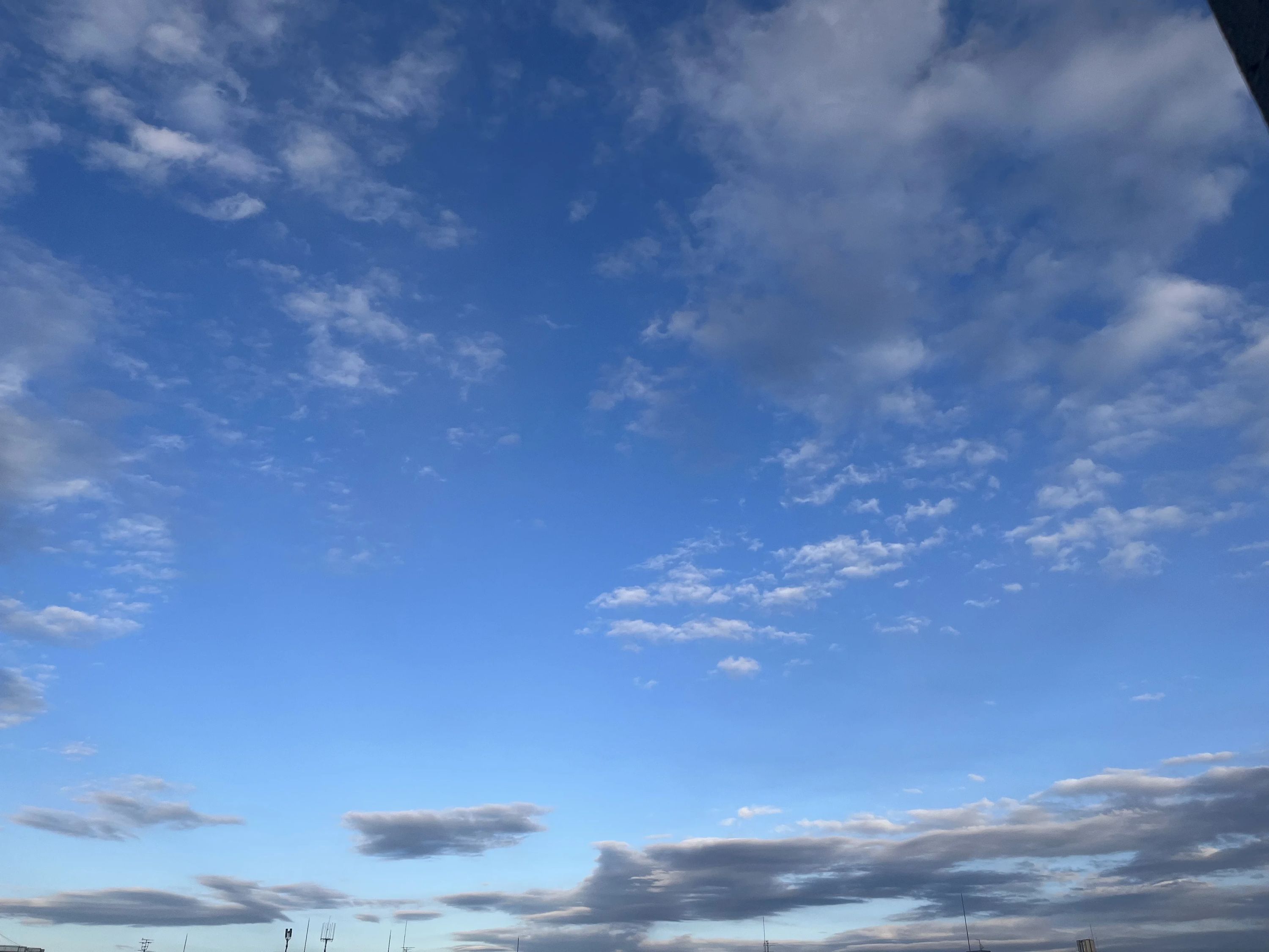 NAYUTAS ボーカル・ボイストレーニング 巣鴨校のメイン画像