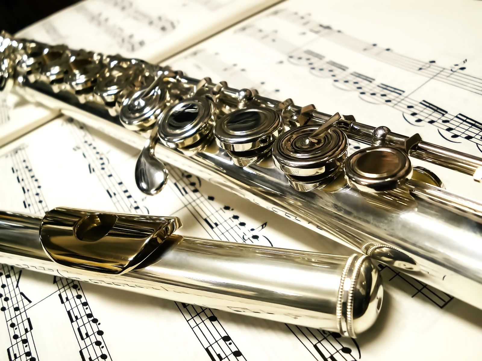 アリス音楽教室 ボーカル・ボイストレーニング 南蒲田教室のメイン画像