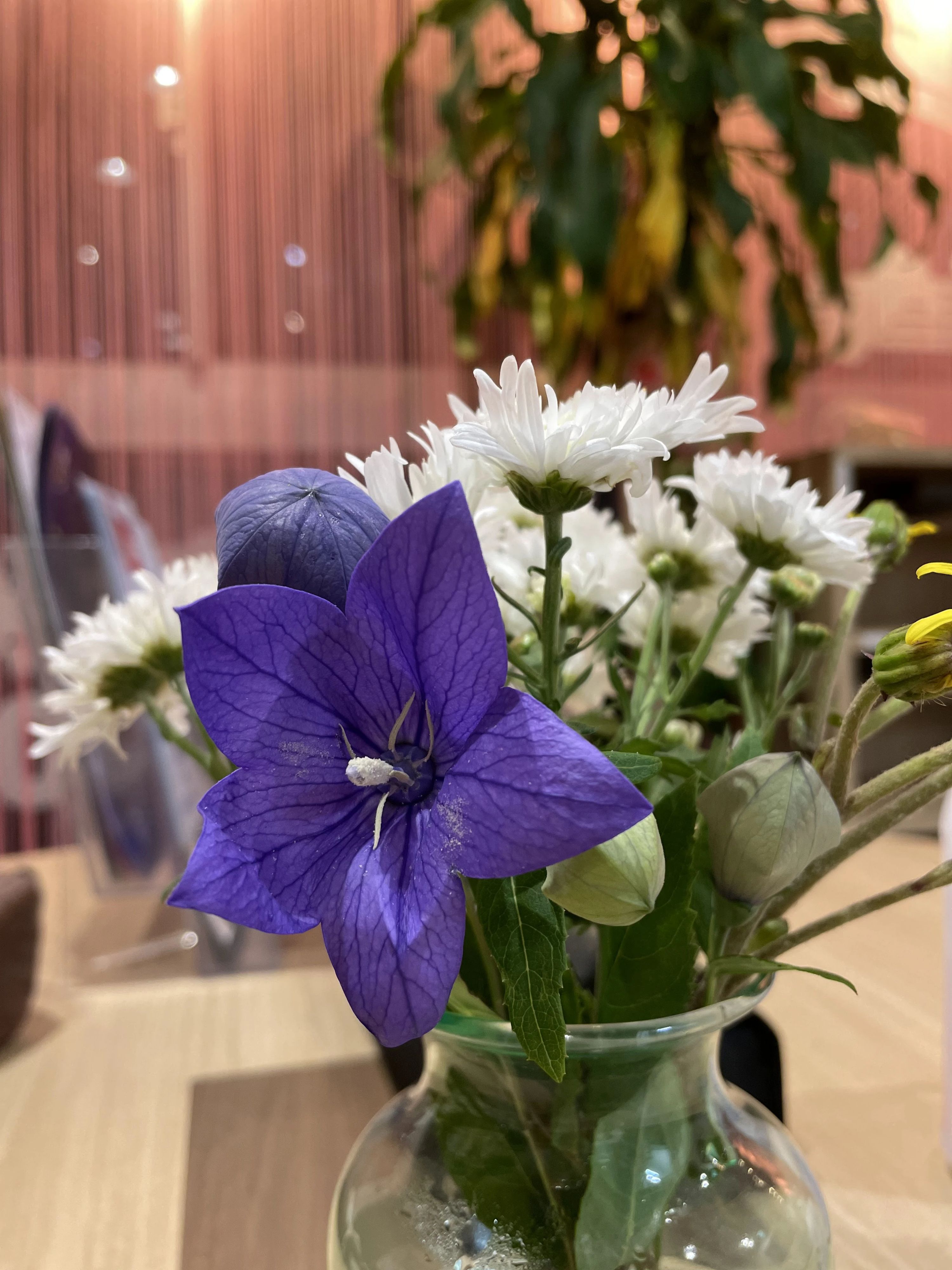 カノン音楽教室 ボーカル・ボイストレーニング 綾瀬校のサムネイル画像 4