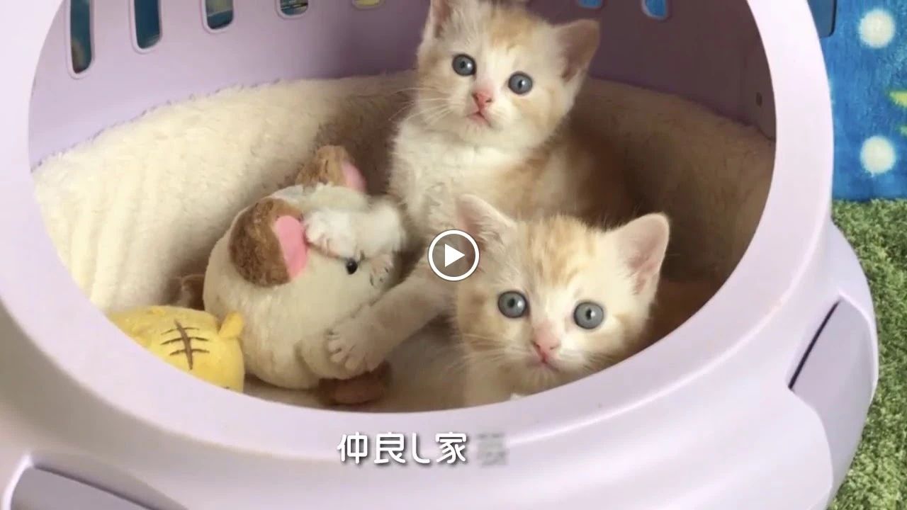 MC Joyous ボーカル・ボイストレーニング 宮前区菅生校のサムネイル画像 4