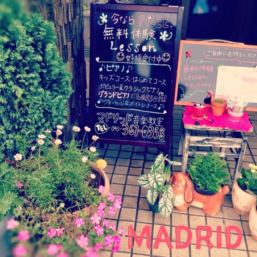 マドリッド音楽教室 ボーカル・ボイストレーニング 南希望ヶ丘教室のサムネイル画像 4