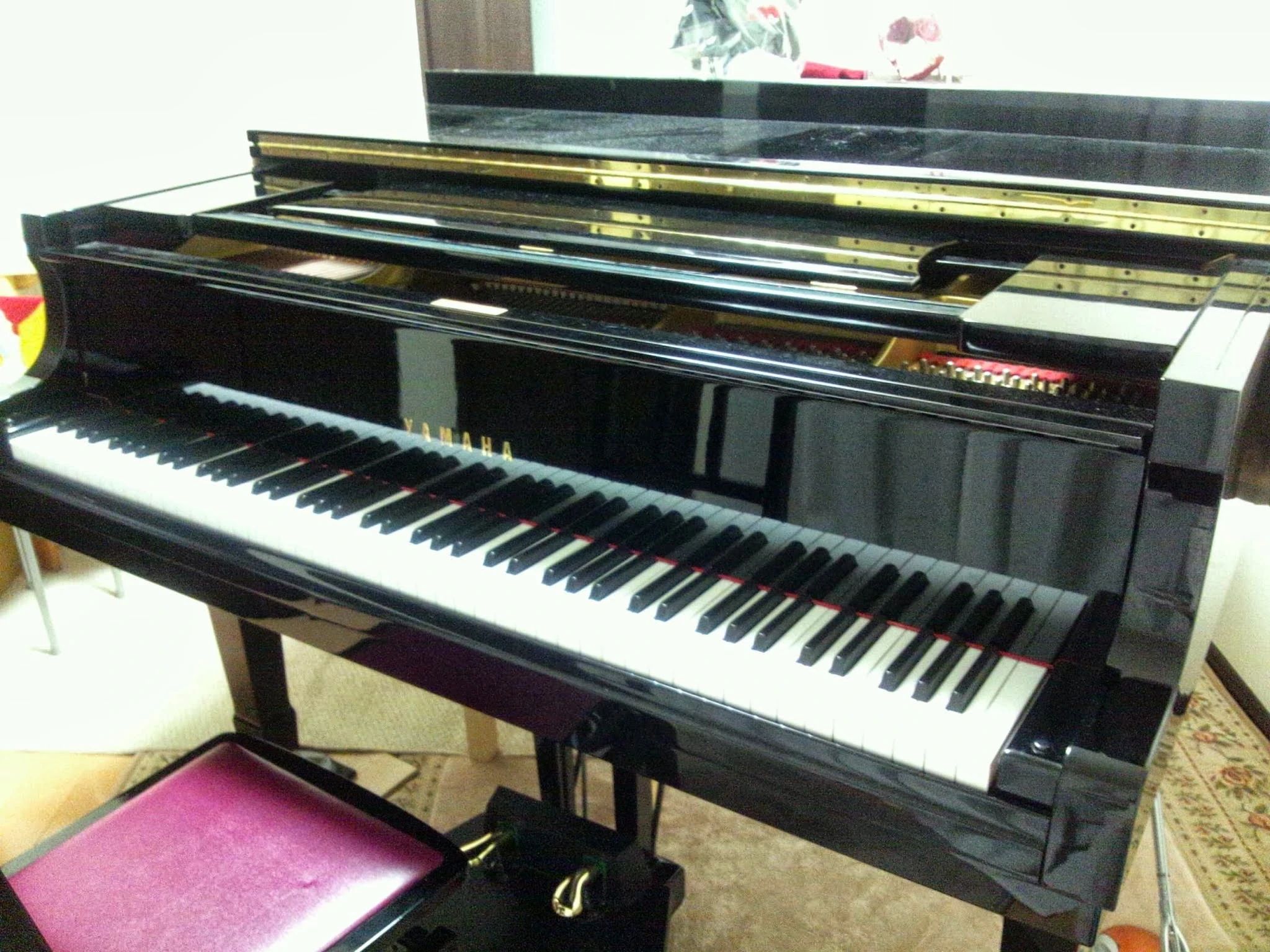 フィオーリ音楽教室 ボーカル・ボイストレーニング 戸田新曽教室のメイン画像