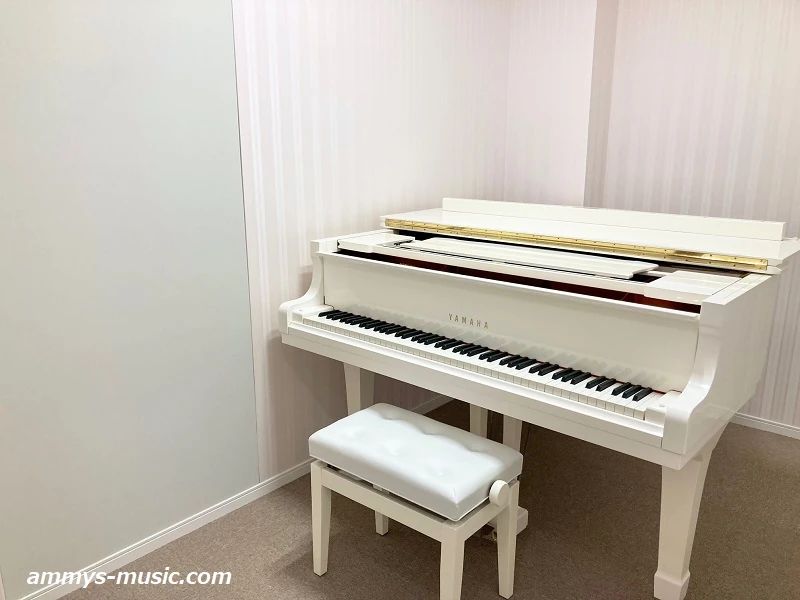 アミーズ音楽教室 ボーカル・ボイストレーニング 幕張ベイタウン教室のサムネイル画像 5