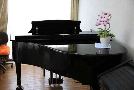 たかはし音楽教室 ボーカル・ボイストレーニング 神栖教室のサムネイル画像 4