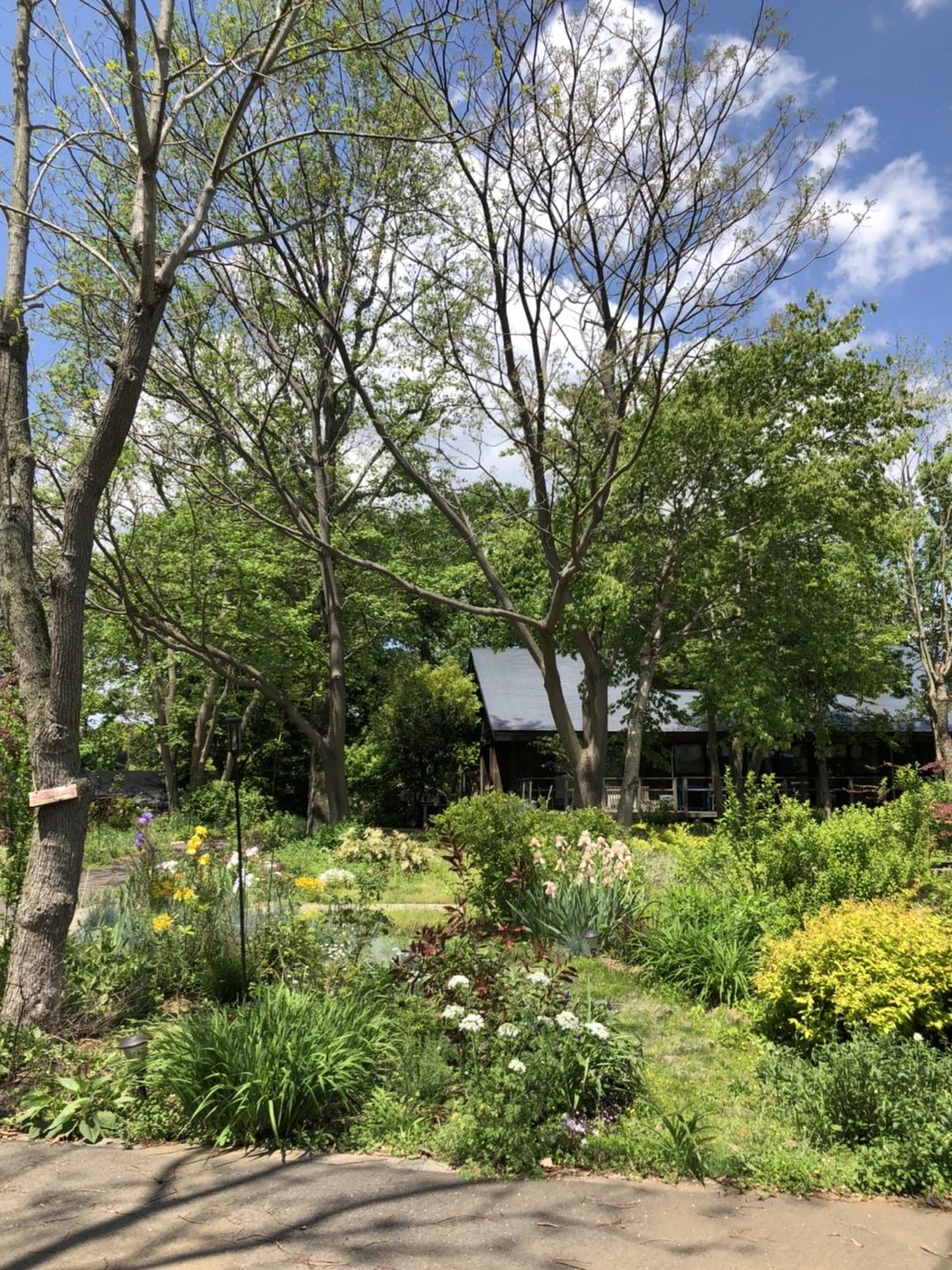 登坂睦子音楽教室 ボーカル・ボイストレーニング 坂手町教室のサムネイル画像 3