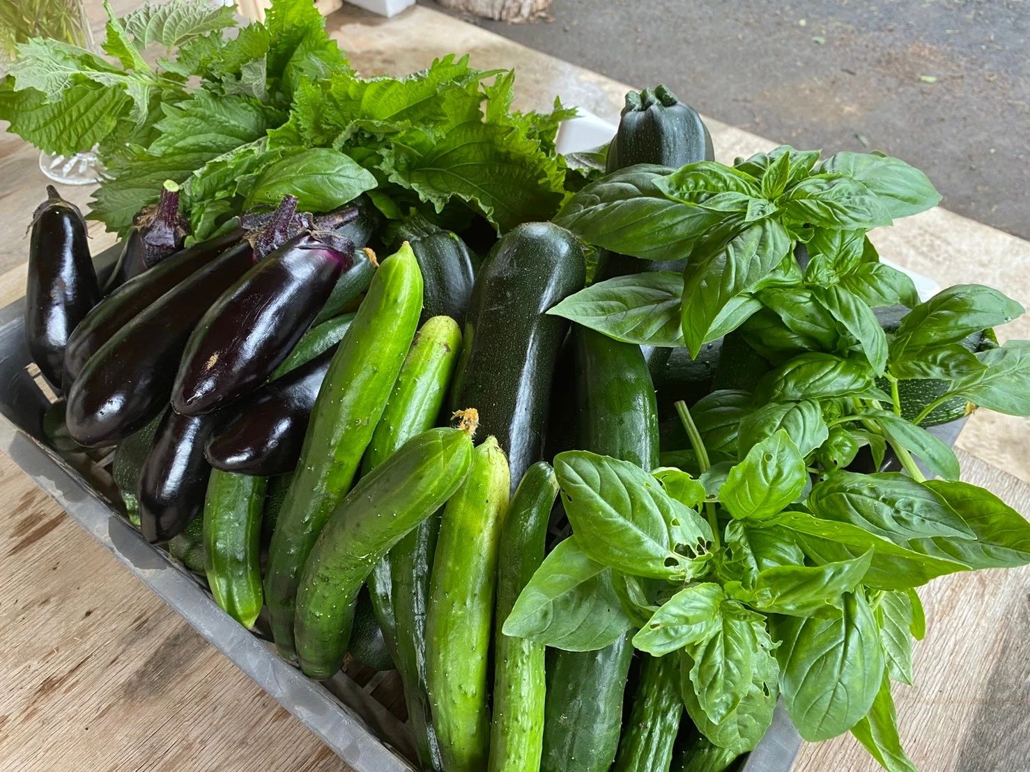 登坂睦子音楽教室 ボーカル・ボイストレーニング 坂手町教室のサムネイル画像 5