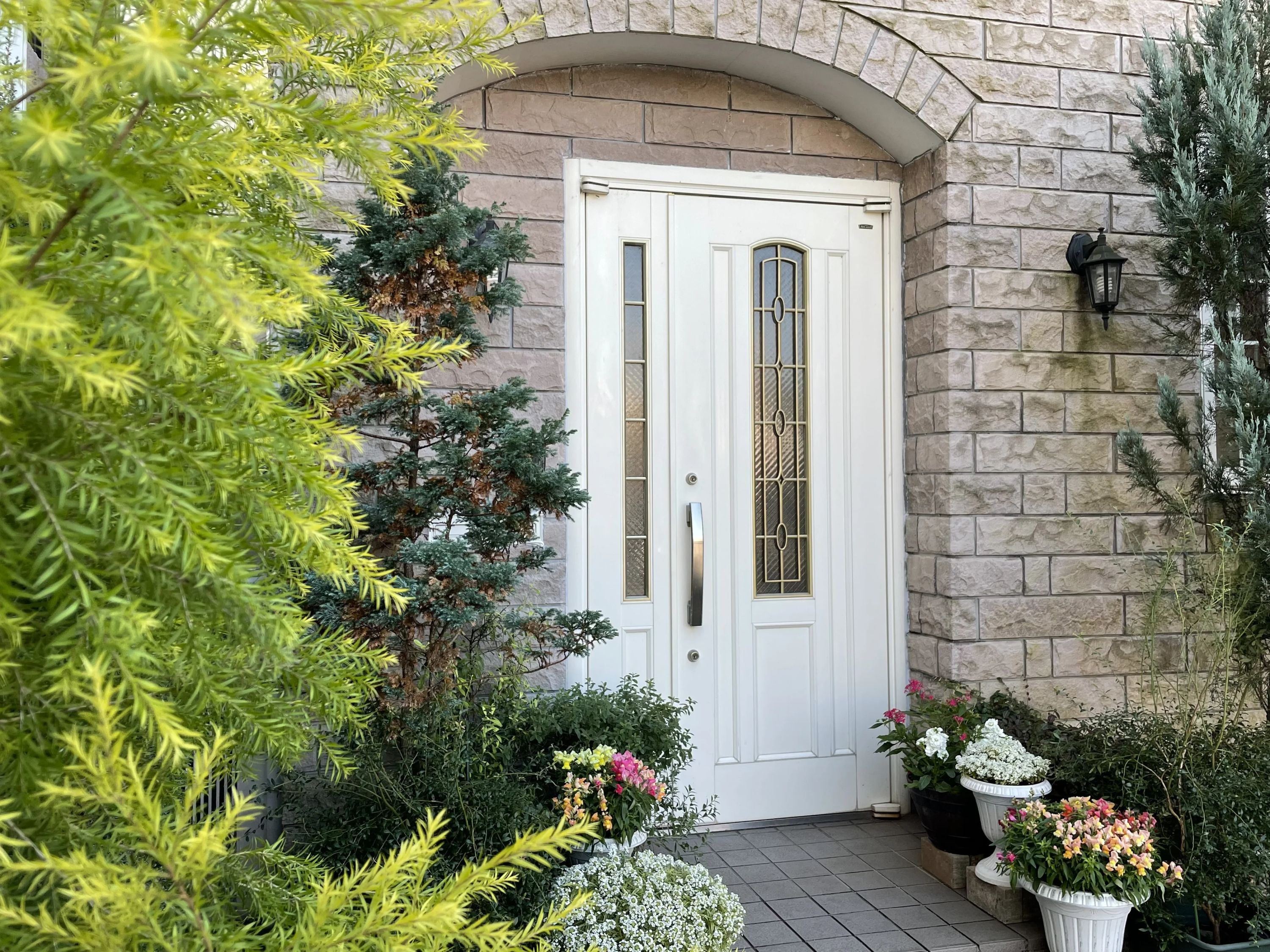 エルベ音楽院 ボーカル・ボイストレーニング 石橋町教室のメイン画像