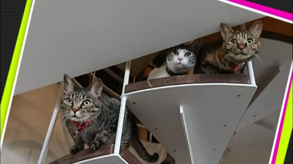 あやとピアノ教室 ボーカル・ボイストレーニング 大今里西教室のサムネイル画像 4