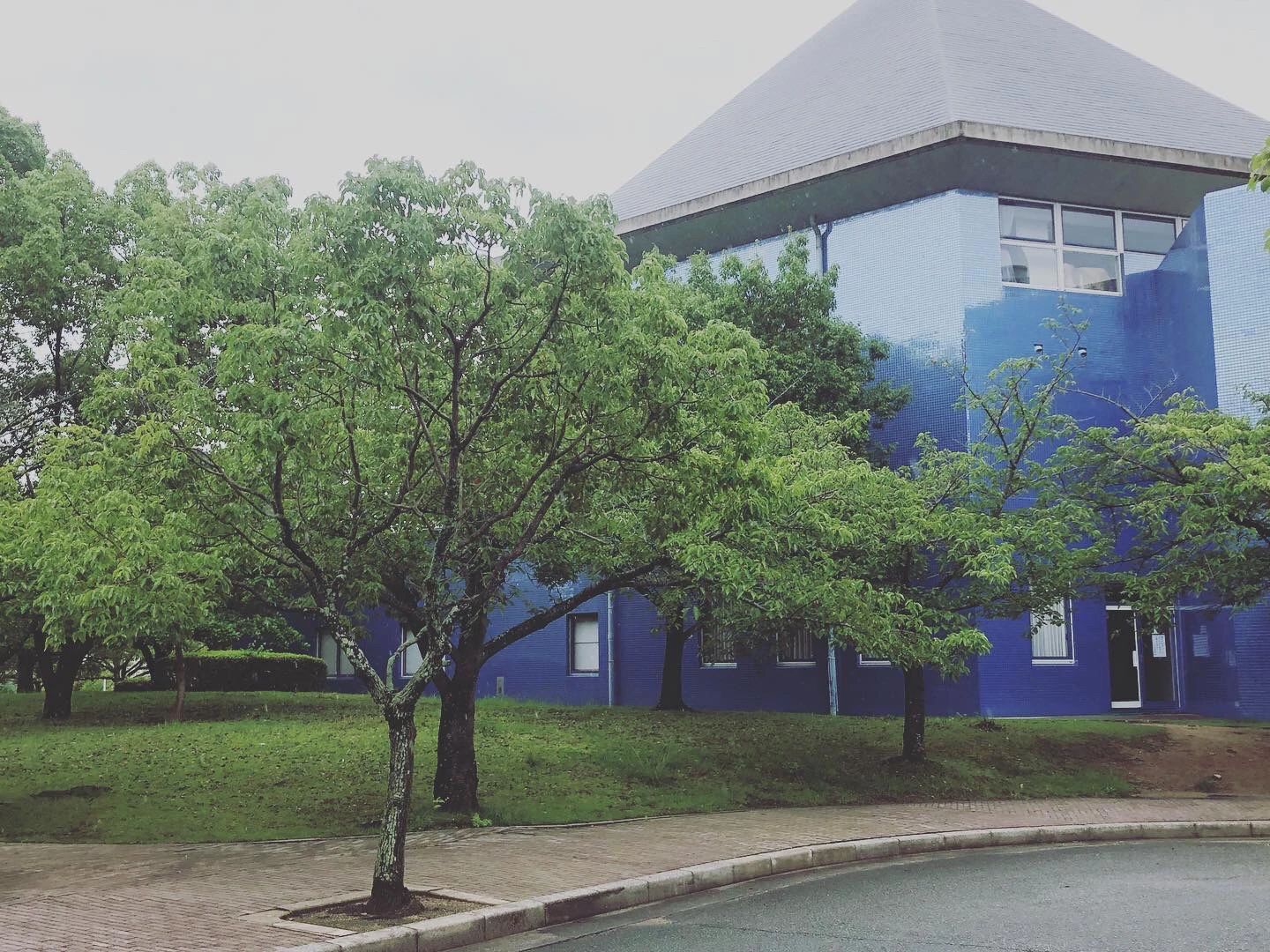 マーブル音楽教室 ボーカル・ボイストレーニング 日岡教室のメイン画像