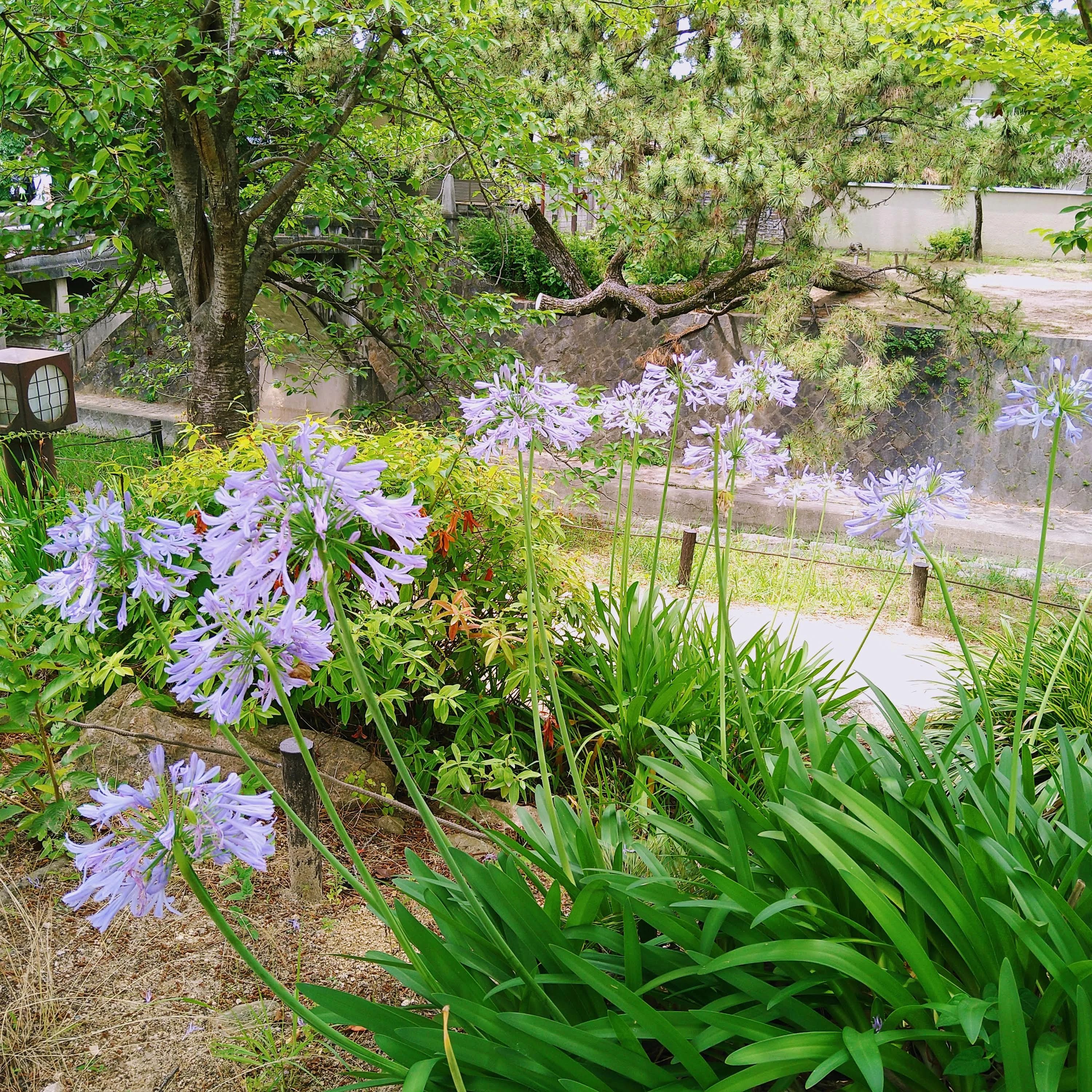 音楽教室トイトイトイ ボーカル・ボイストレーニング 夙川スタジオのメイン画像