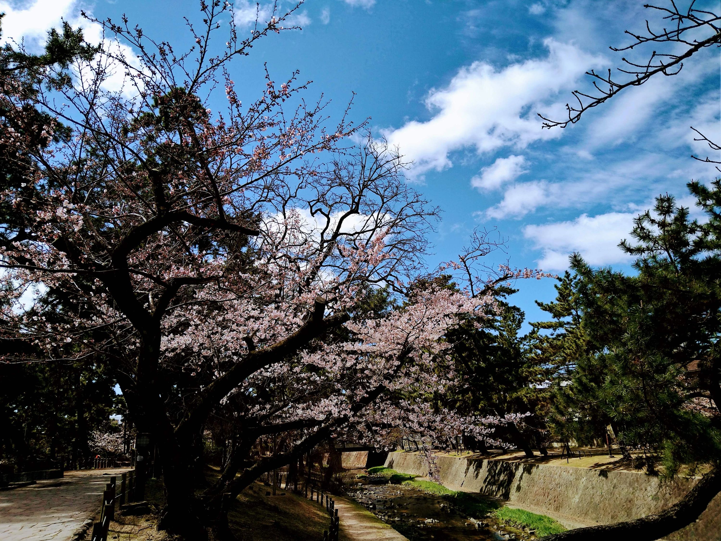 音楽教室トイトイトイ ボーカル・ボイストレーニング 夙川スタジオのサムネイル画像 2