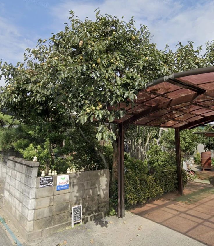 あかね音楽教室 ボーカル・ボイストレーニング 益野町教室のサムネイル画像 5