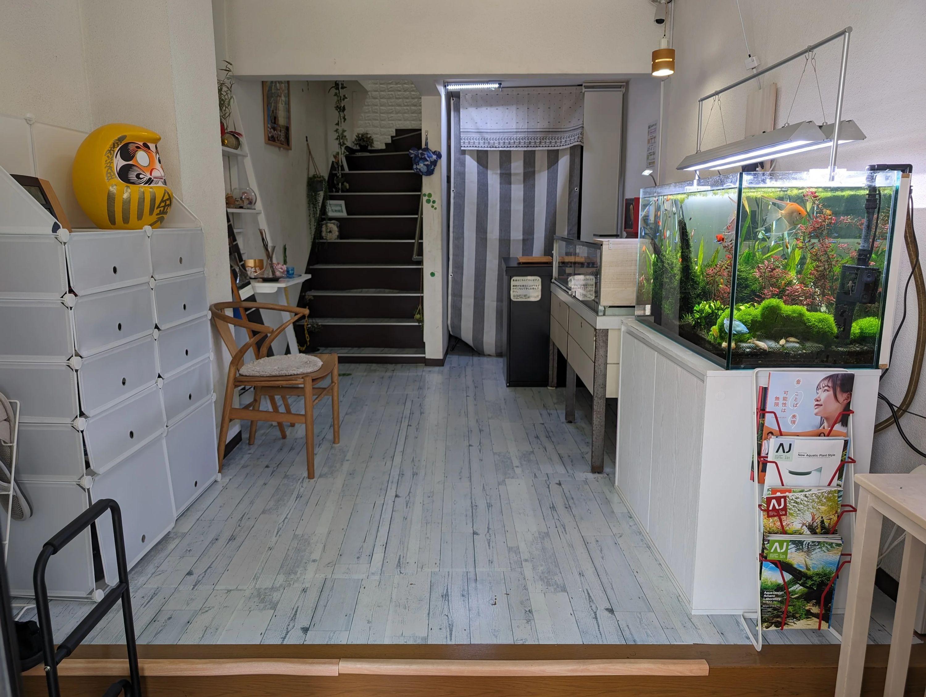 キタムラ音楽教室 ボーカル・ボイストレーニング 二軒屋町教室のメイン画像