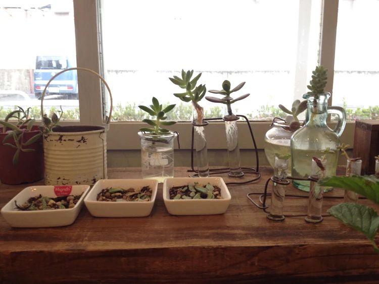 音楽教室『箱』 ギター 染地教室のサムネイル画像 2