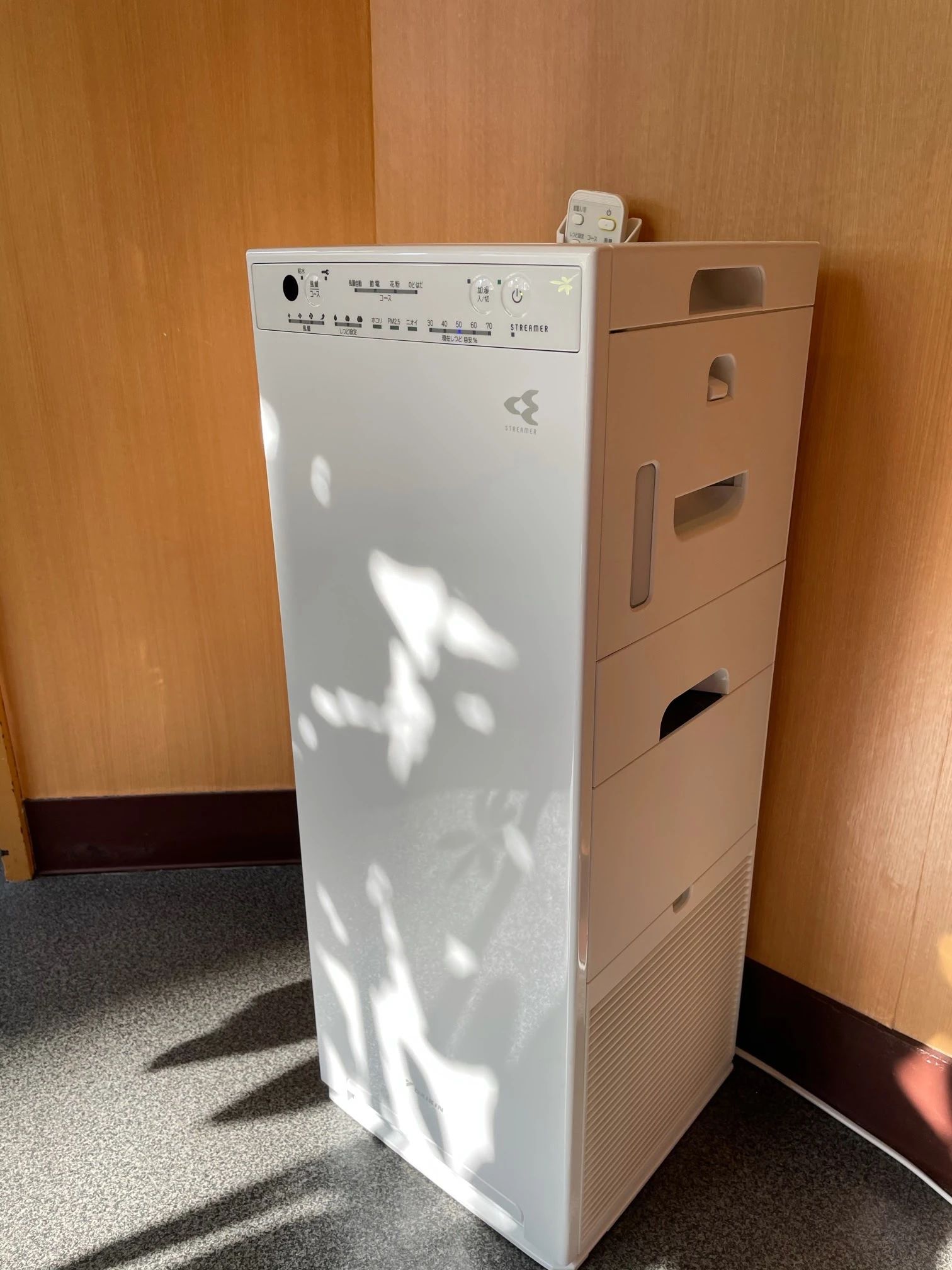 音楽教室ミュージックベア ギター 木場校のサムネイル画像 4