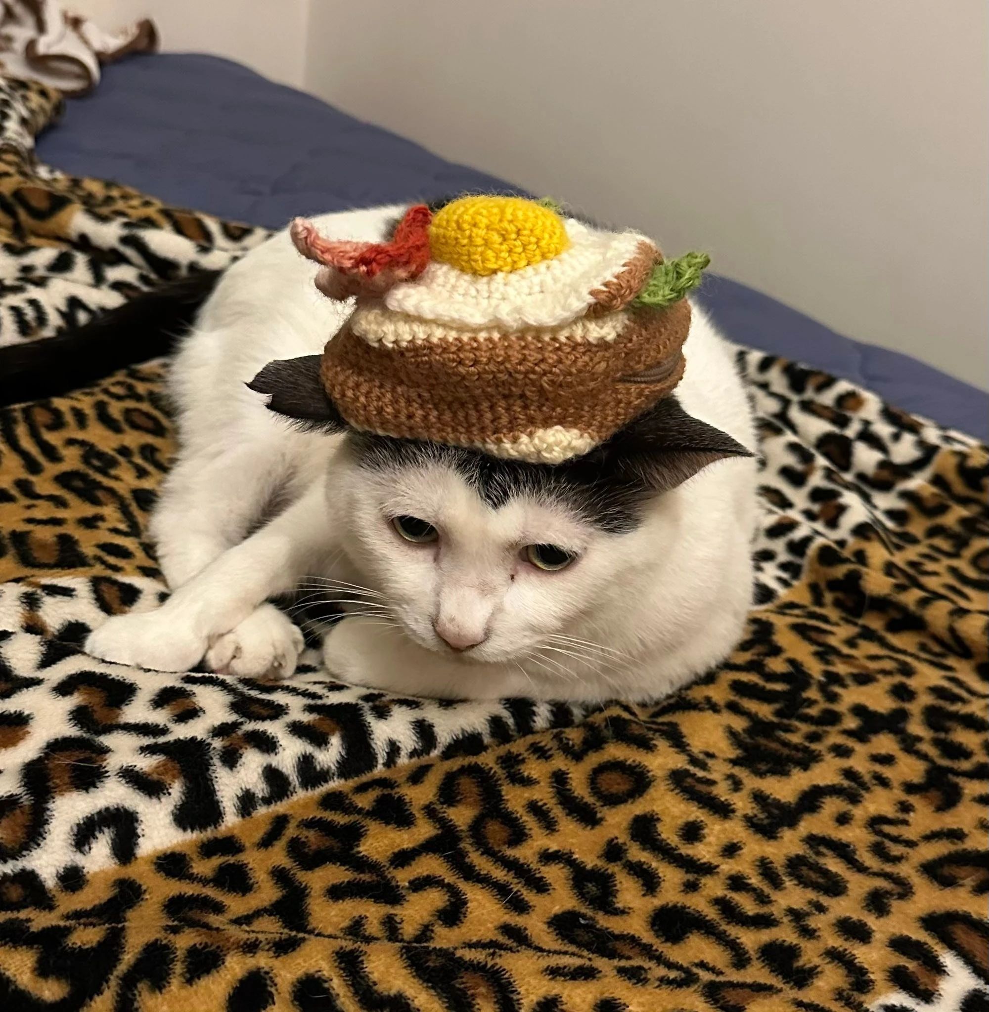 セレクトーン ギター スタジオセラフィのサムネイル画像 2