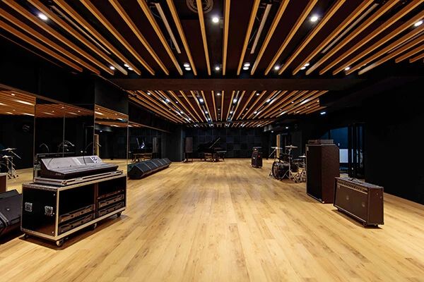 セレクトーン ギター サウンドスタジオノア学芸大店のメイン画像